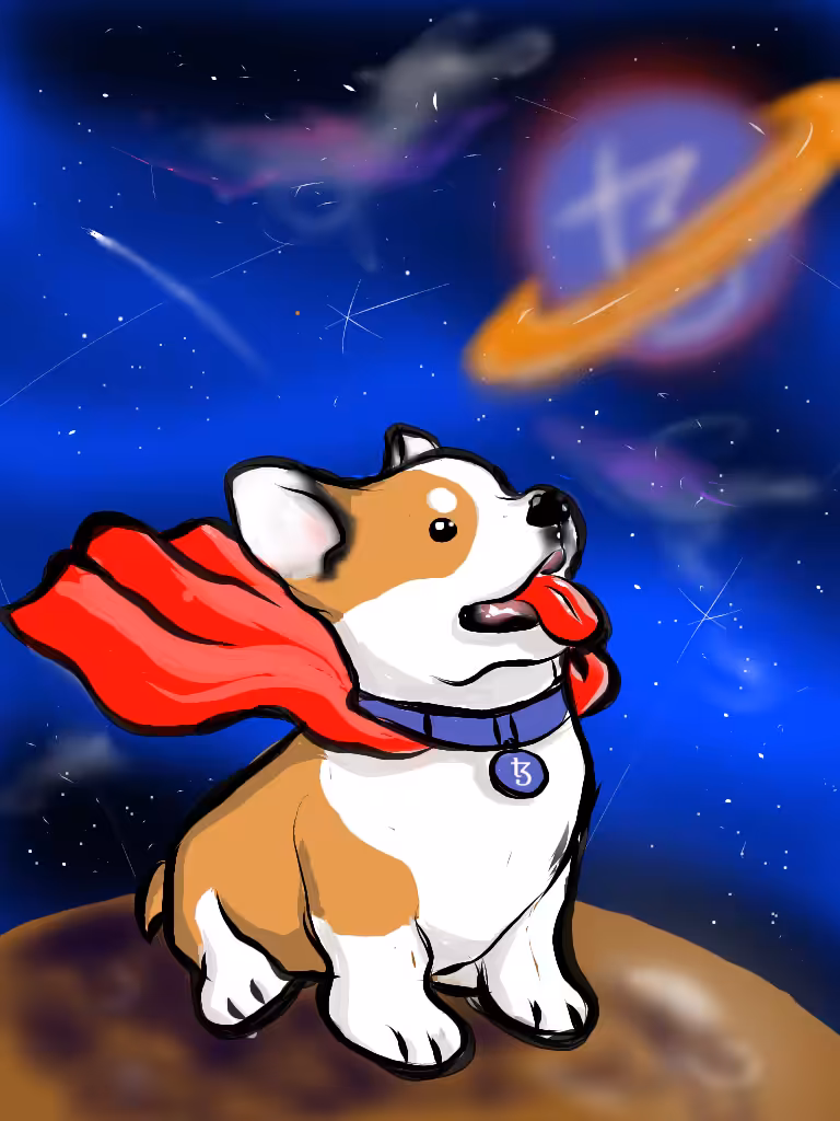 corgi dog in the space