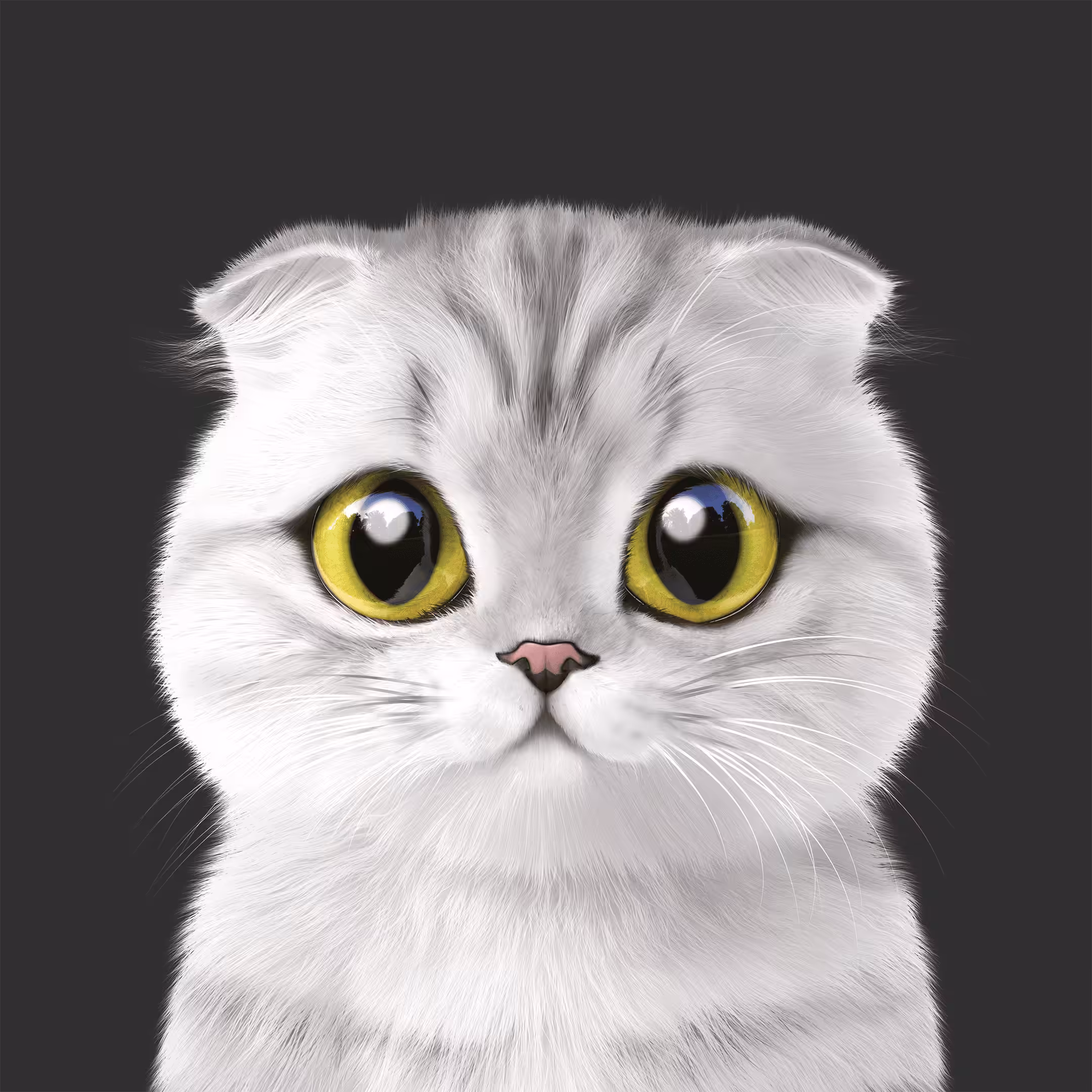 #220 Toki