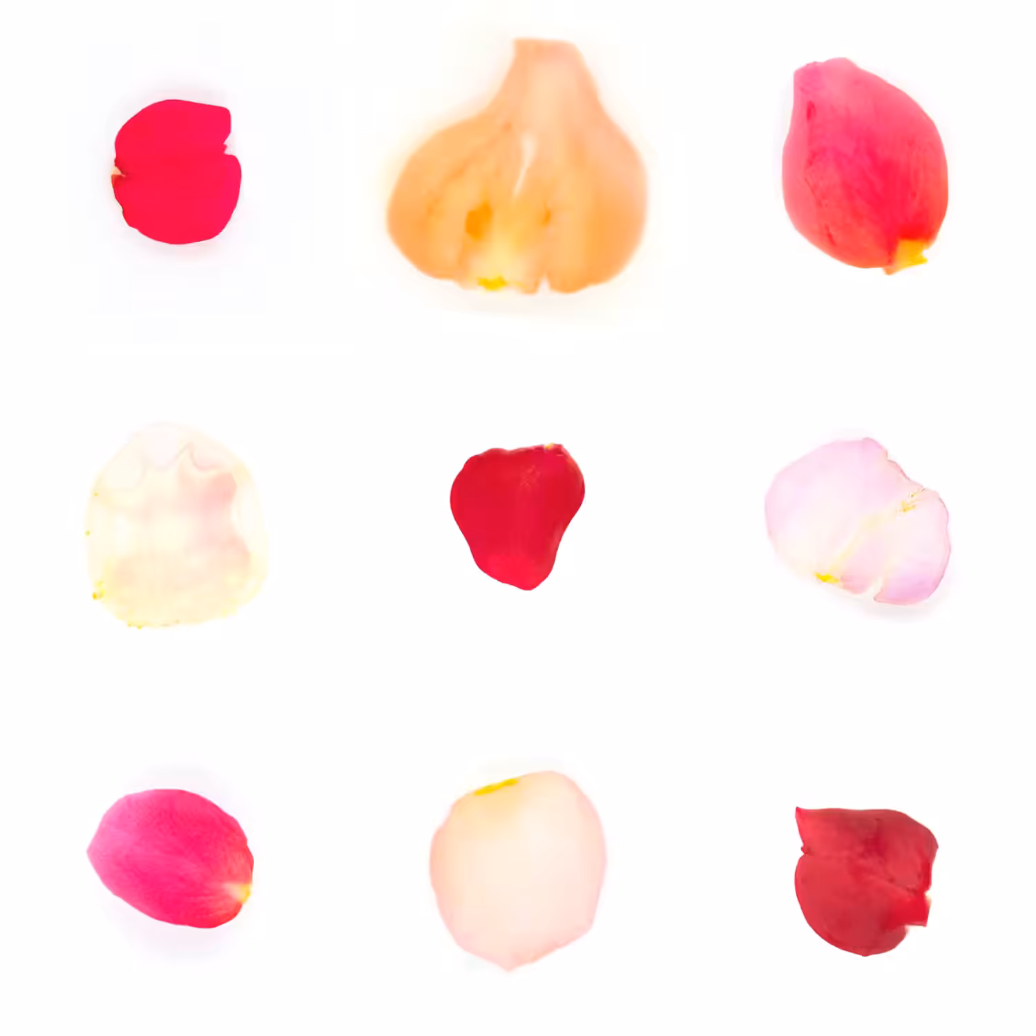 Infinite Petals 3x3#2461