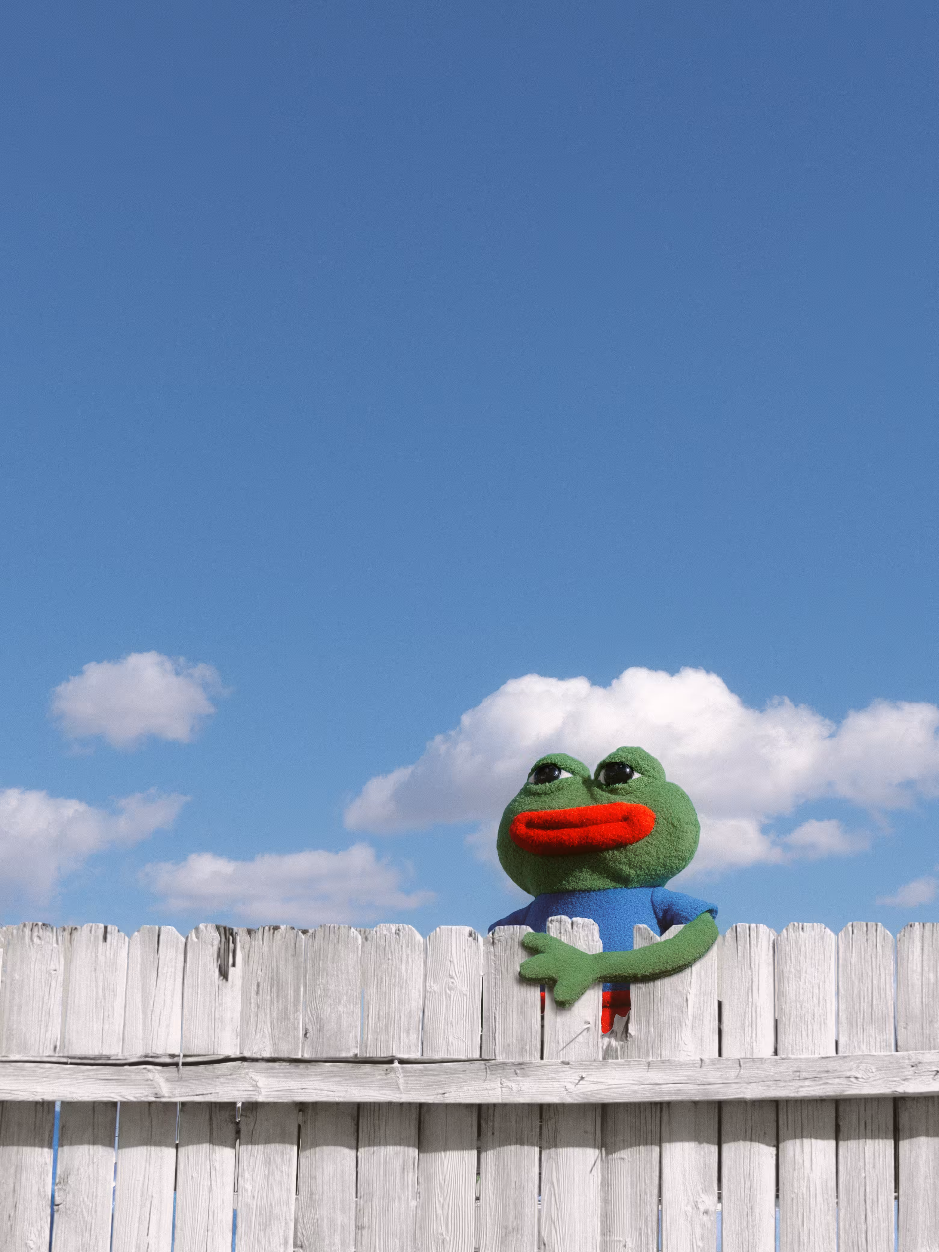 My Neighbor Pepe