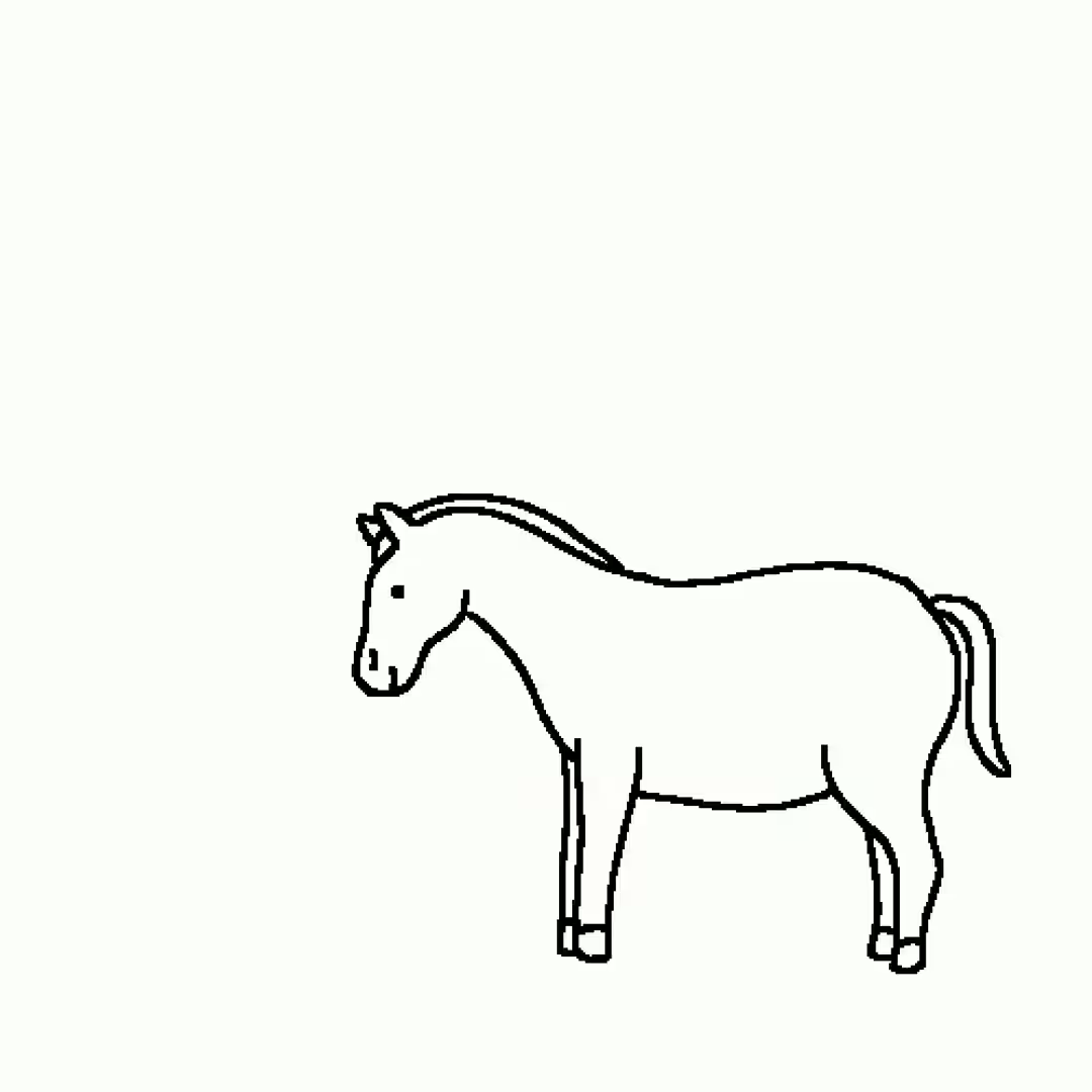 Apply your horse everyday