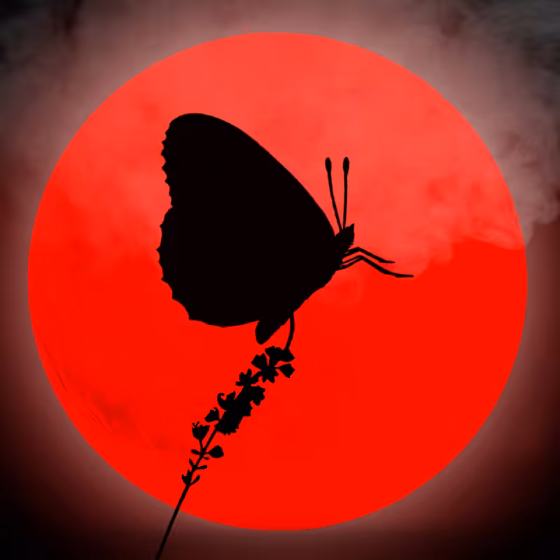 We Care...Butterfly #6
