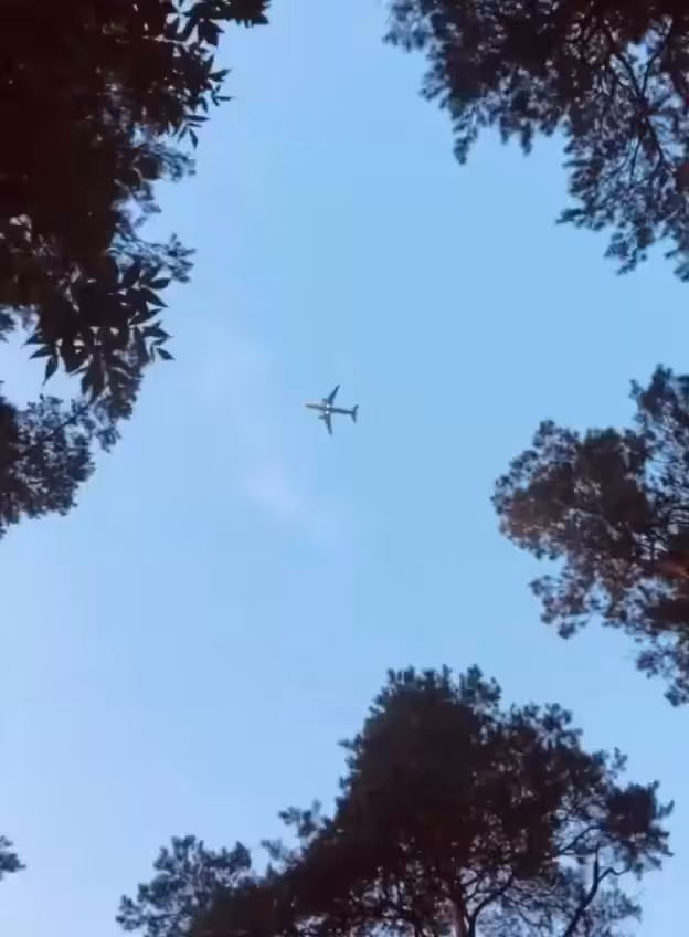 Flight