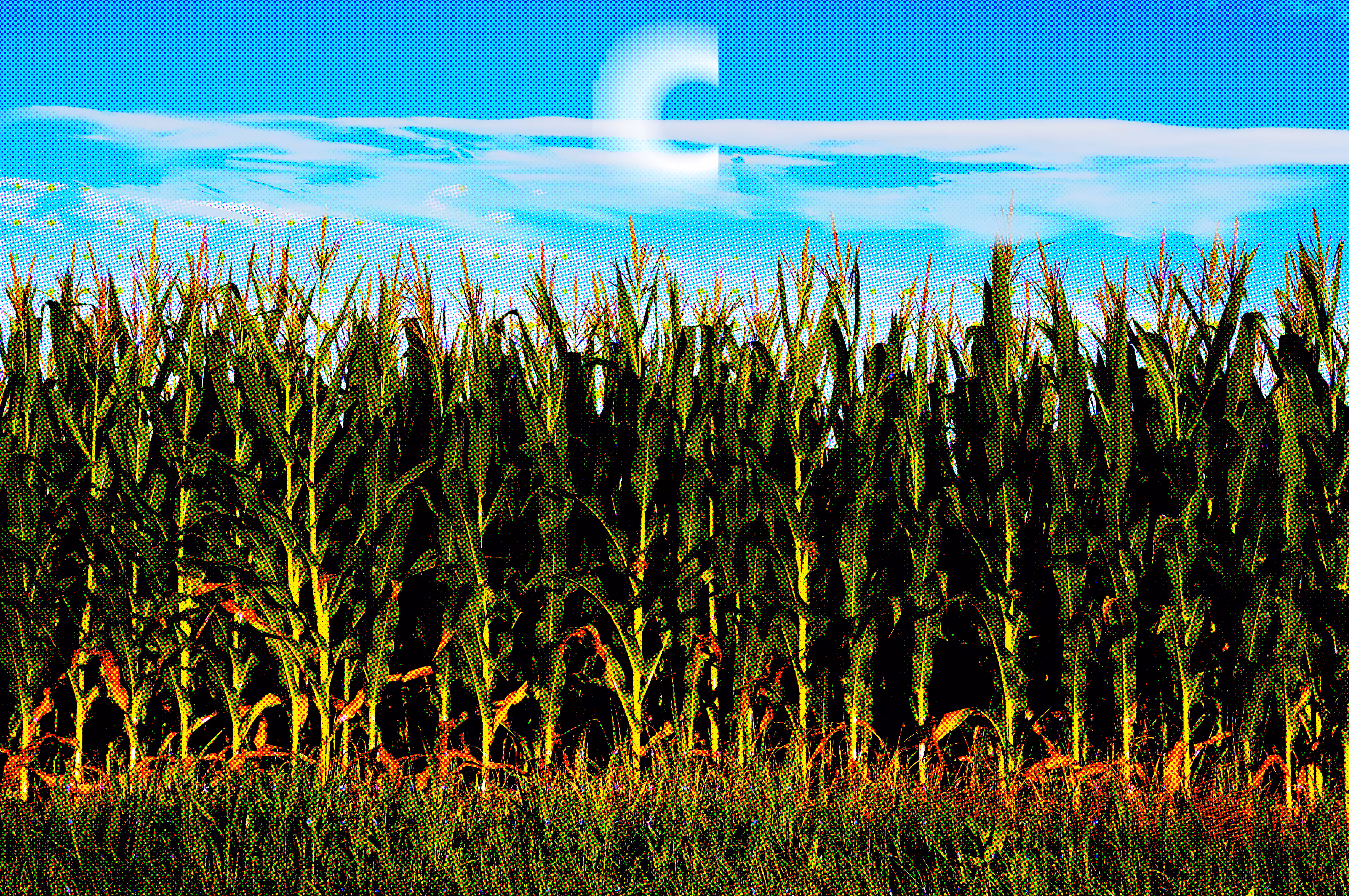 CornbaseNFT V2