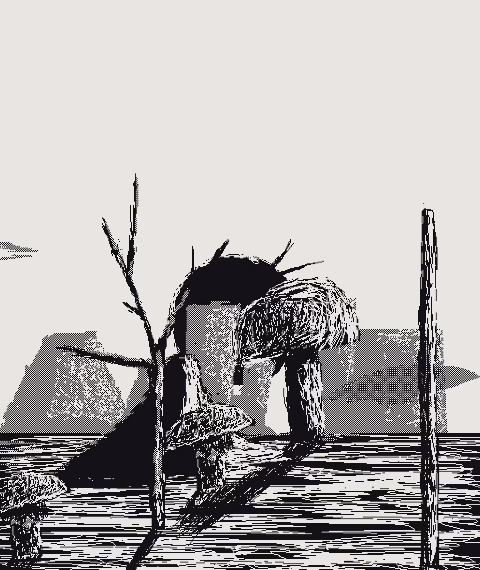 1Bit Fields #28