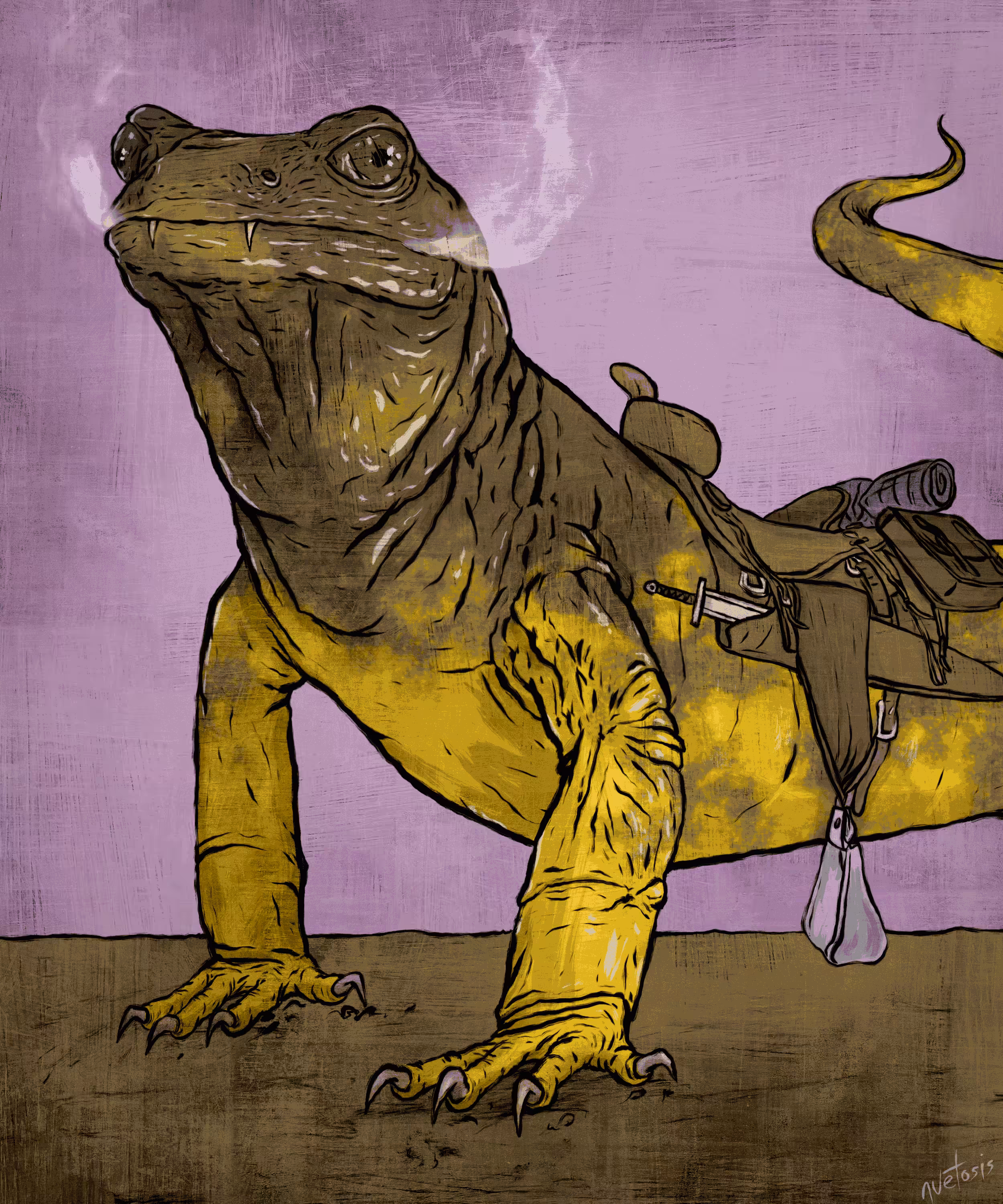 Fire Salamander 8