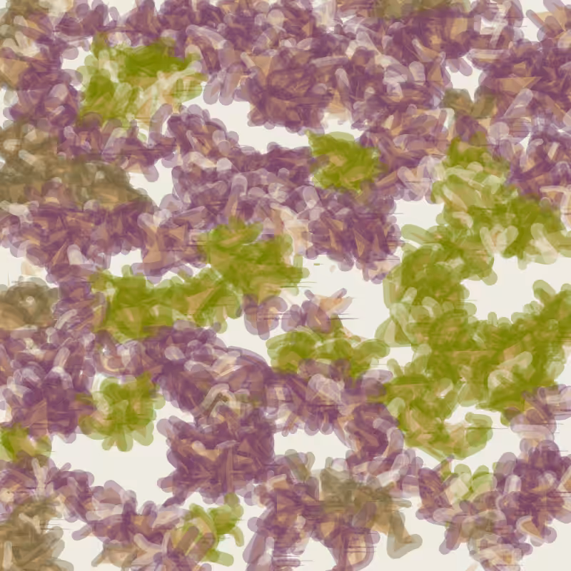 Petri 1500 v2 QHD  #1488