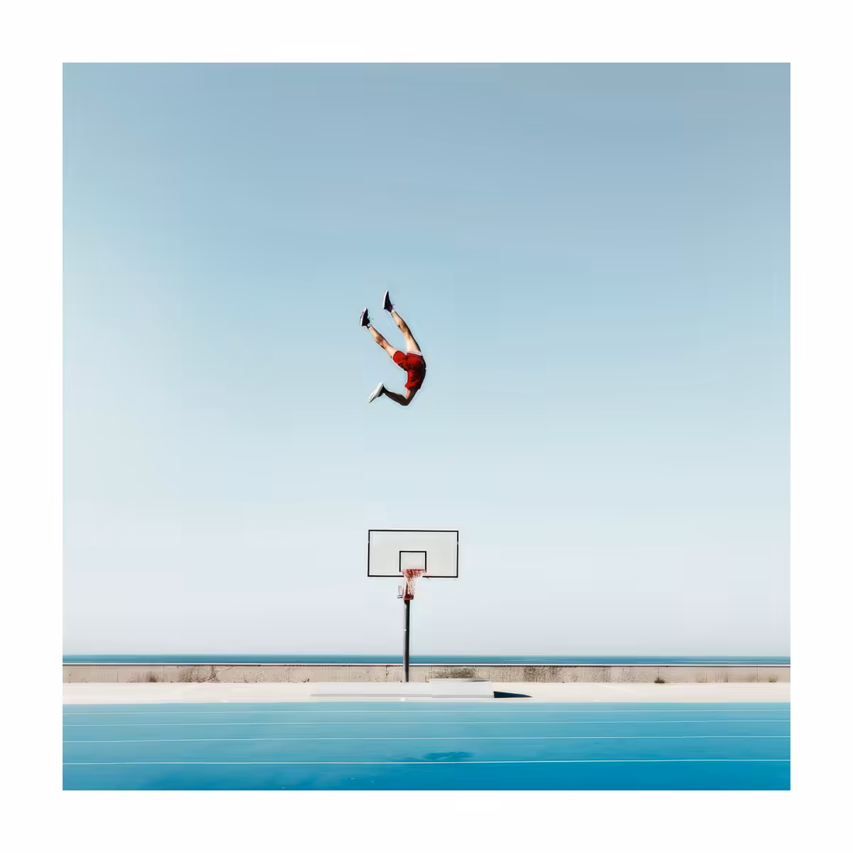 The basket - IX