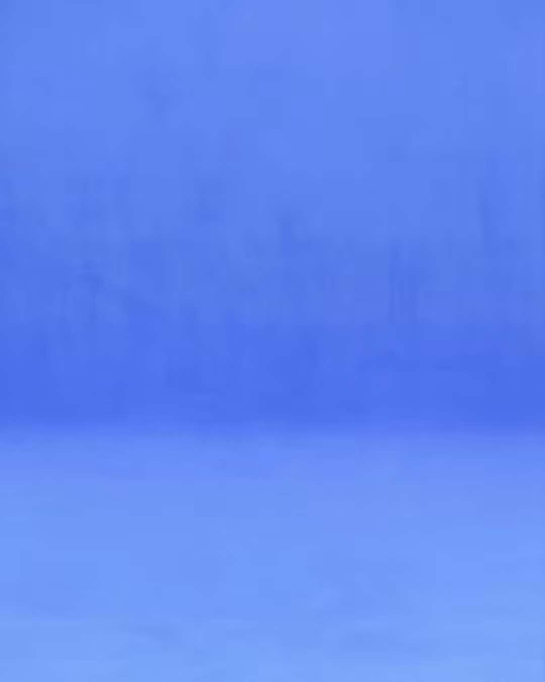 BLNCG 2/3 "BLUE edition"