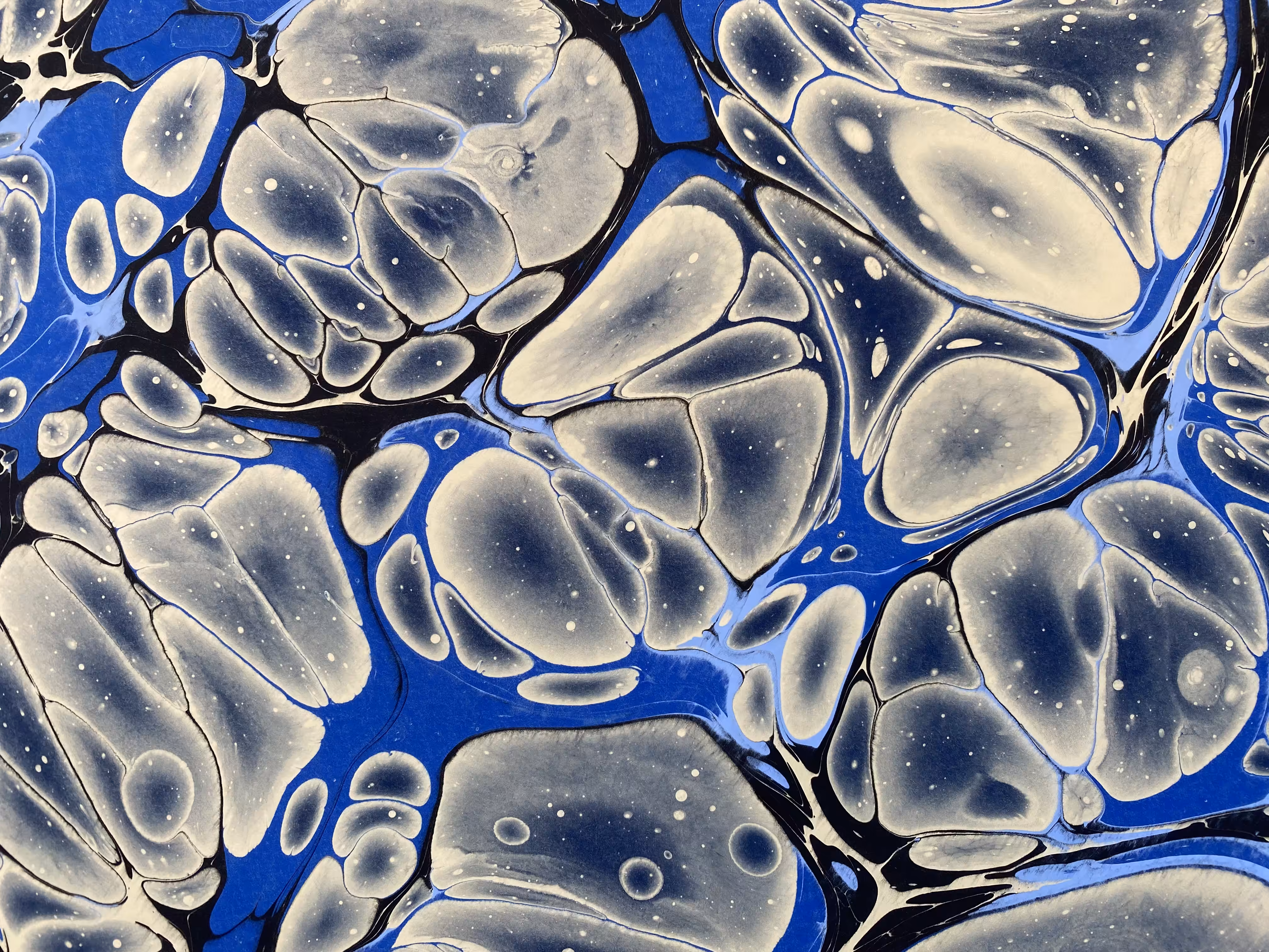 Battal Ebrû / Marbling Art SE #22