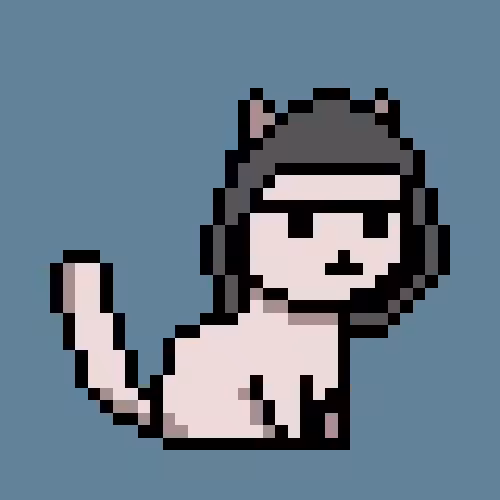 PunkCat #4062