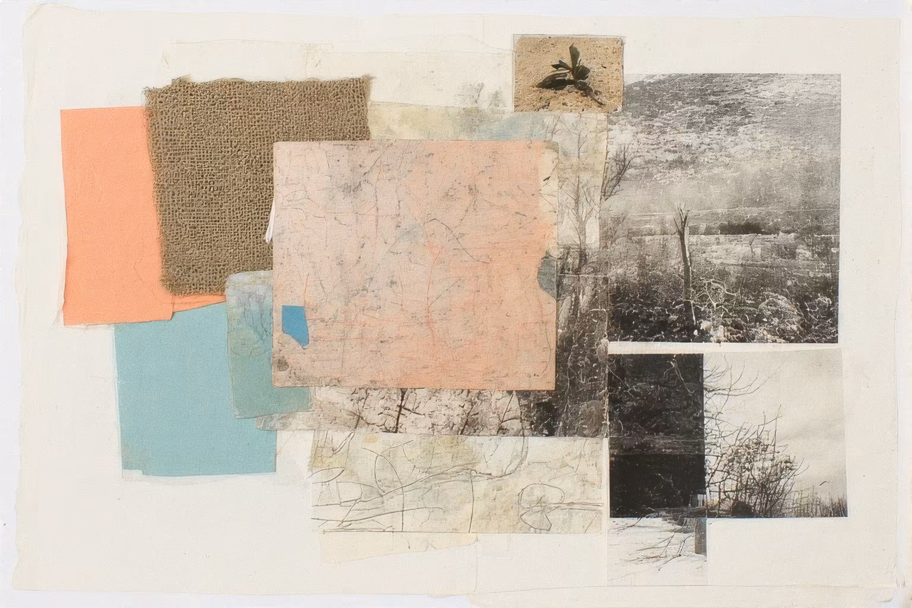 untitled (early), 2025