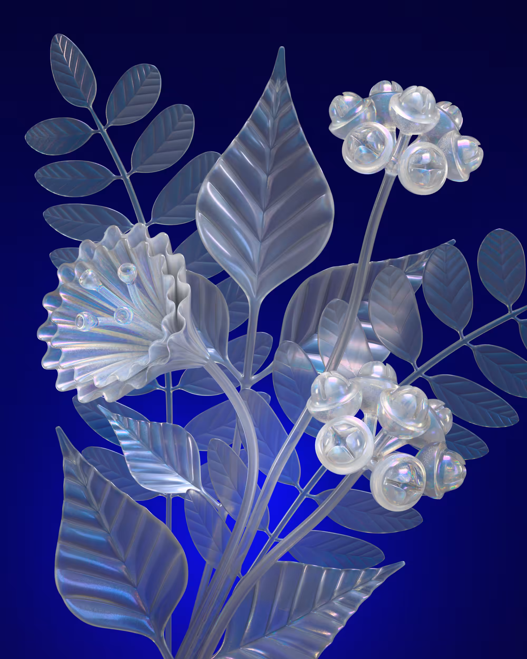 Transparent Flowers