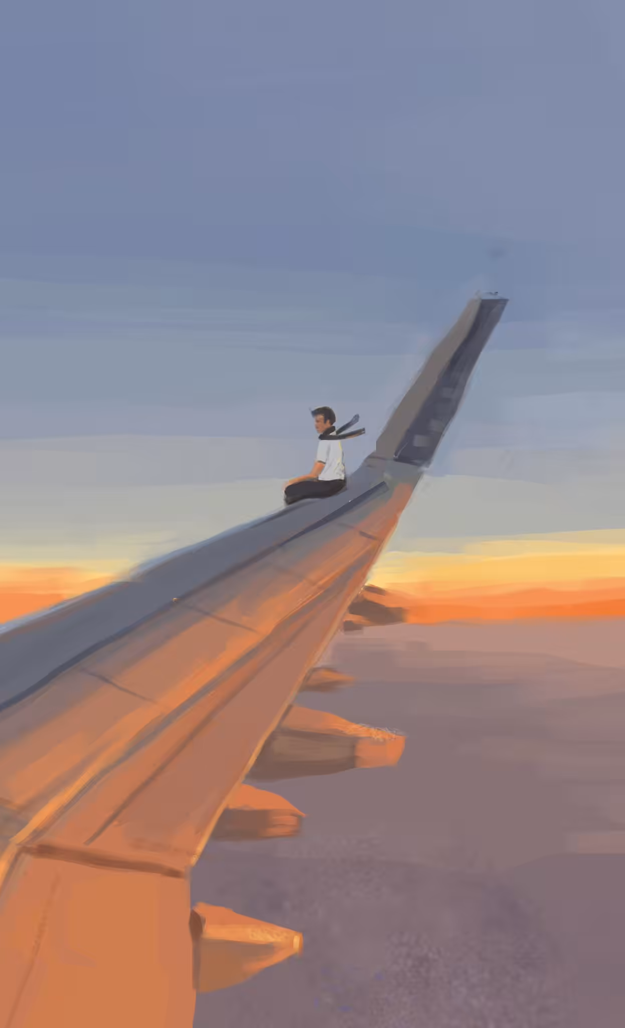 CRAZY VIEW
