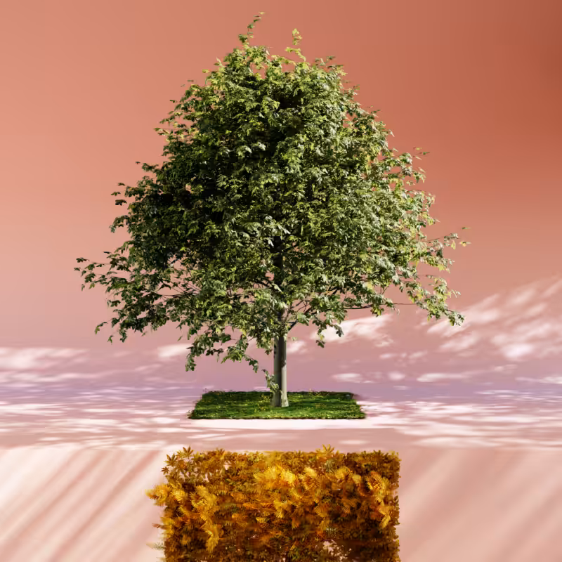 Nature rooms #36