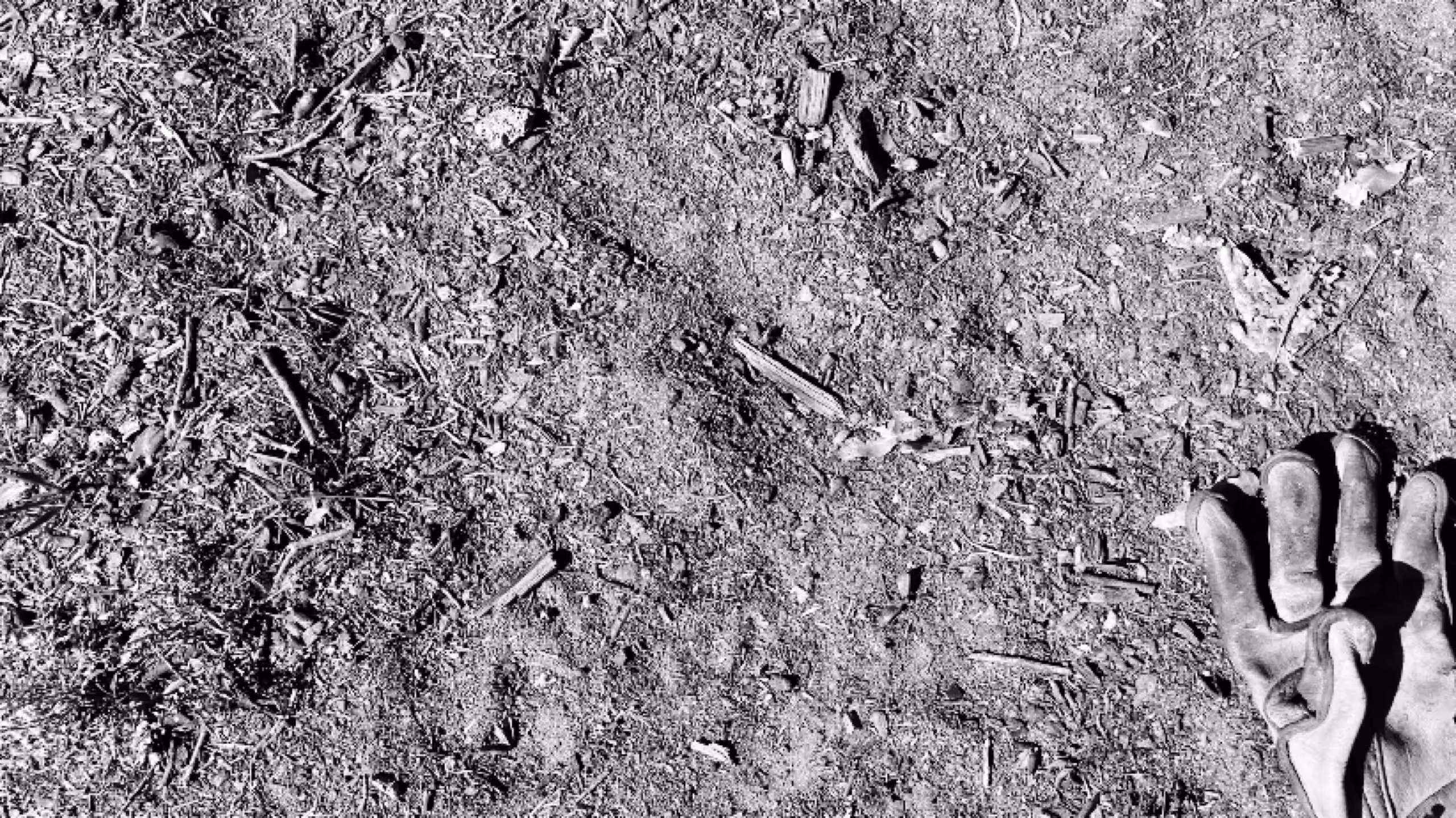 Nobody's Photography