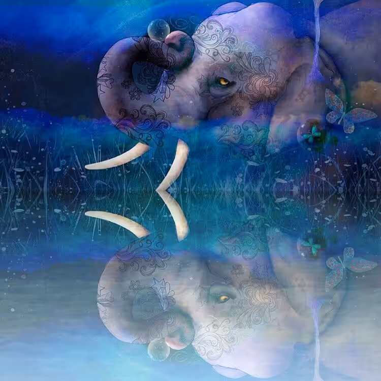 The elephant dream