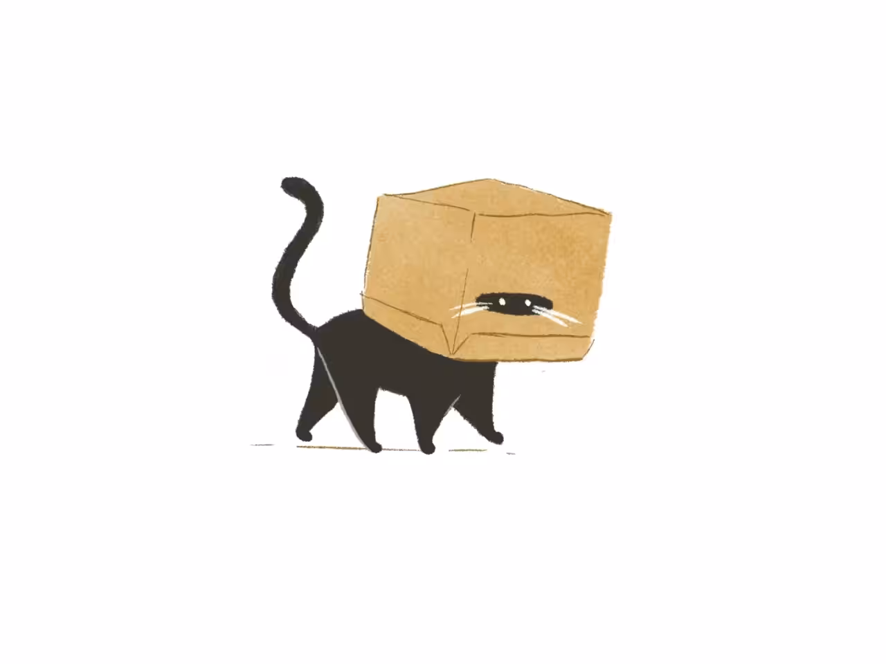 Boxes and Cats