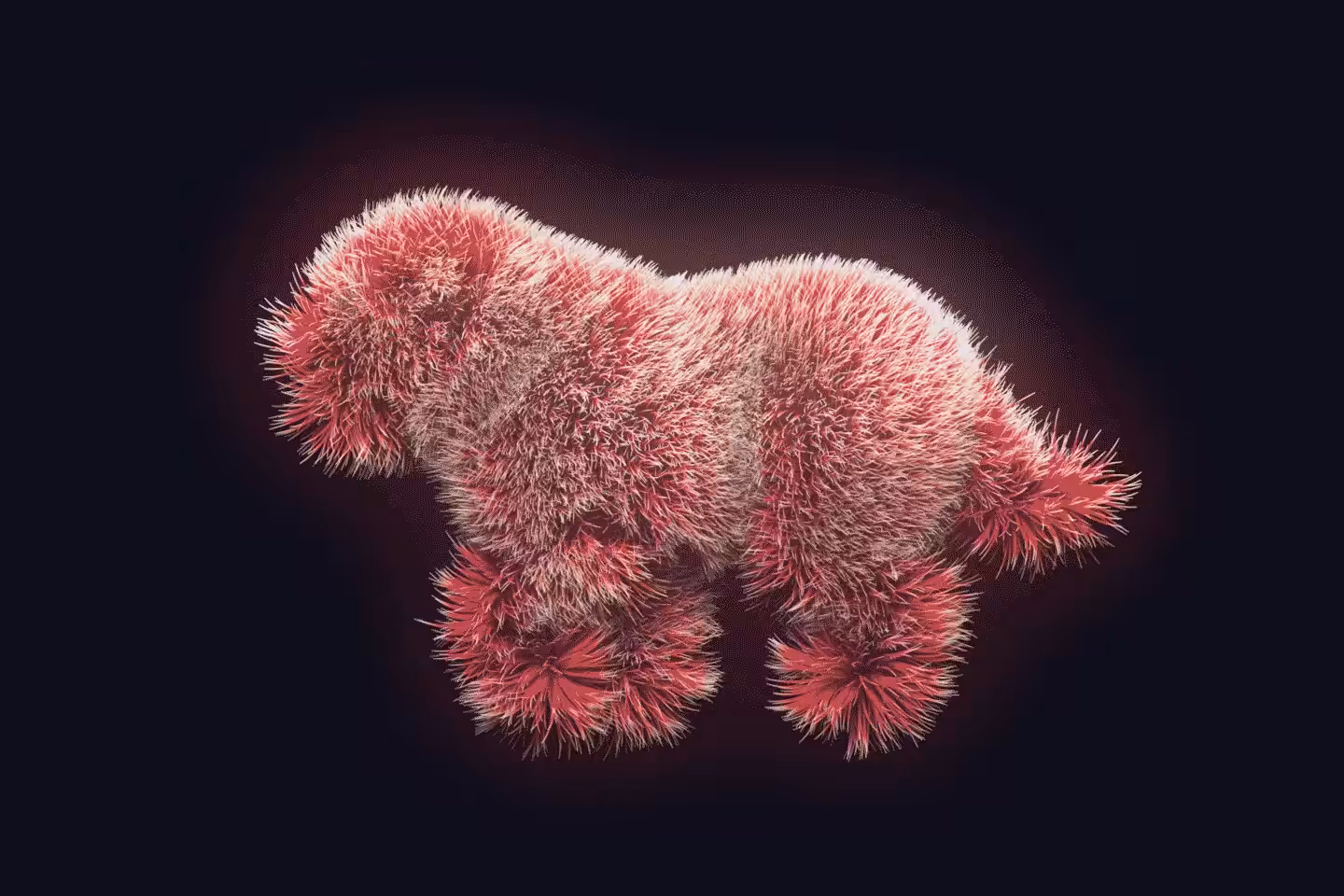 Dog - Coda