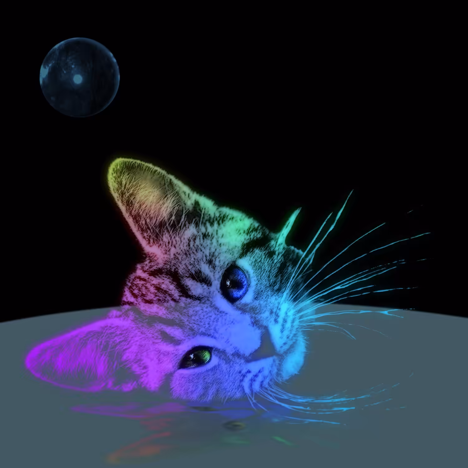 Space Cat