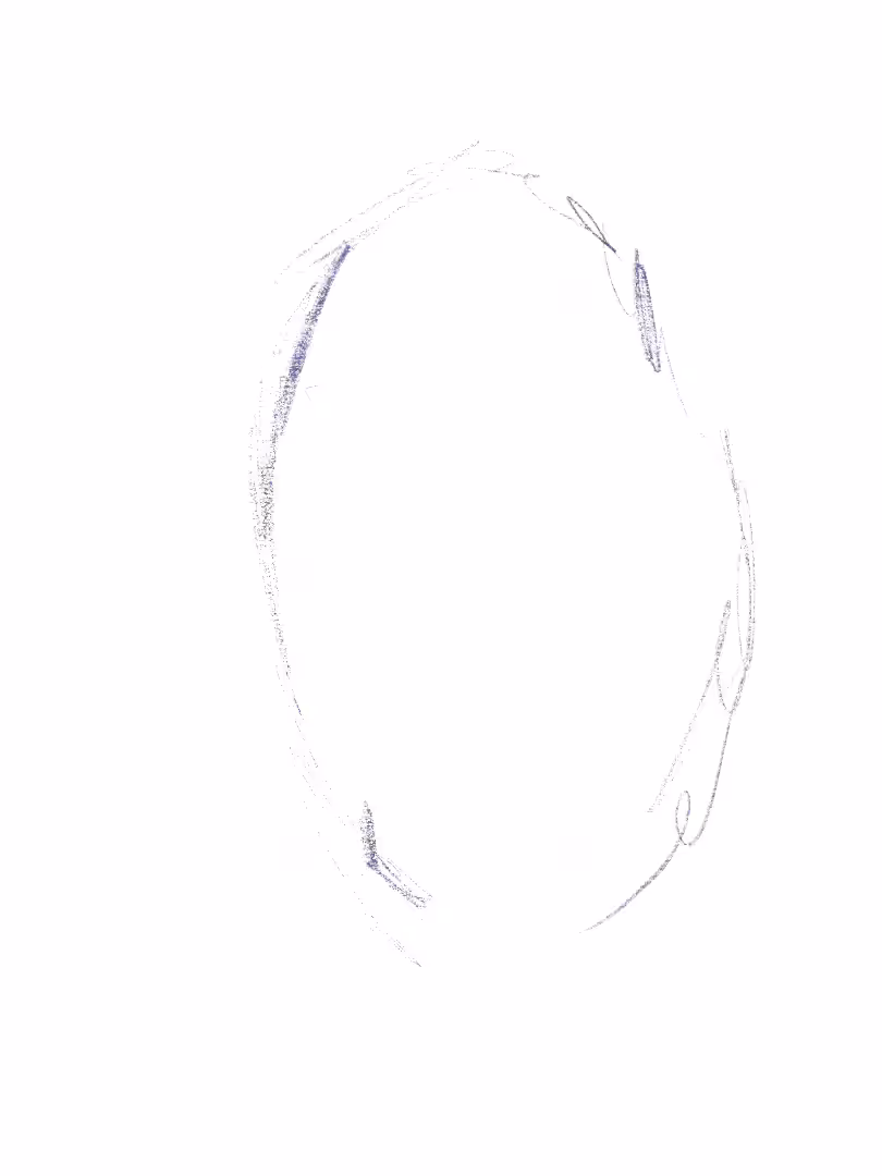 FaceOff-Processvideo