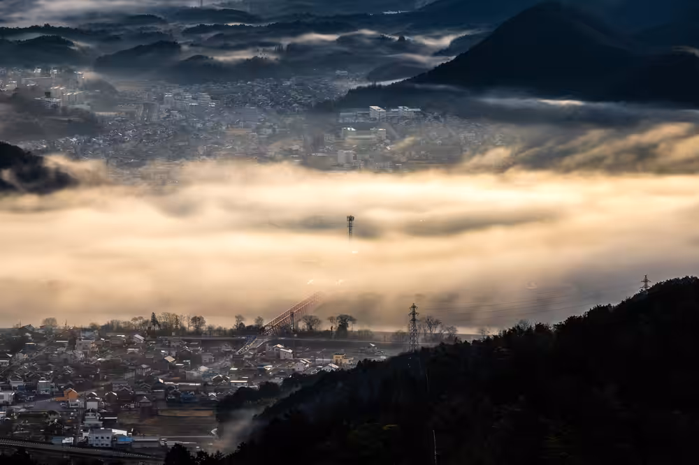 Foggy City