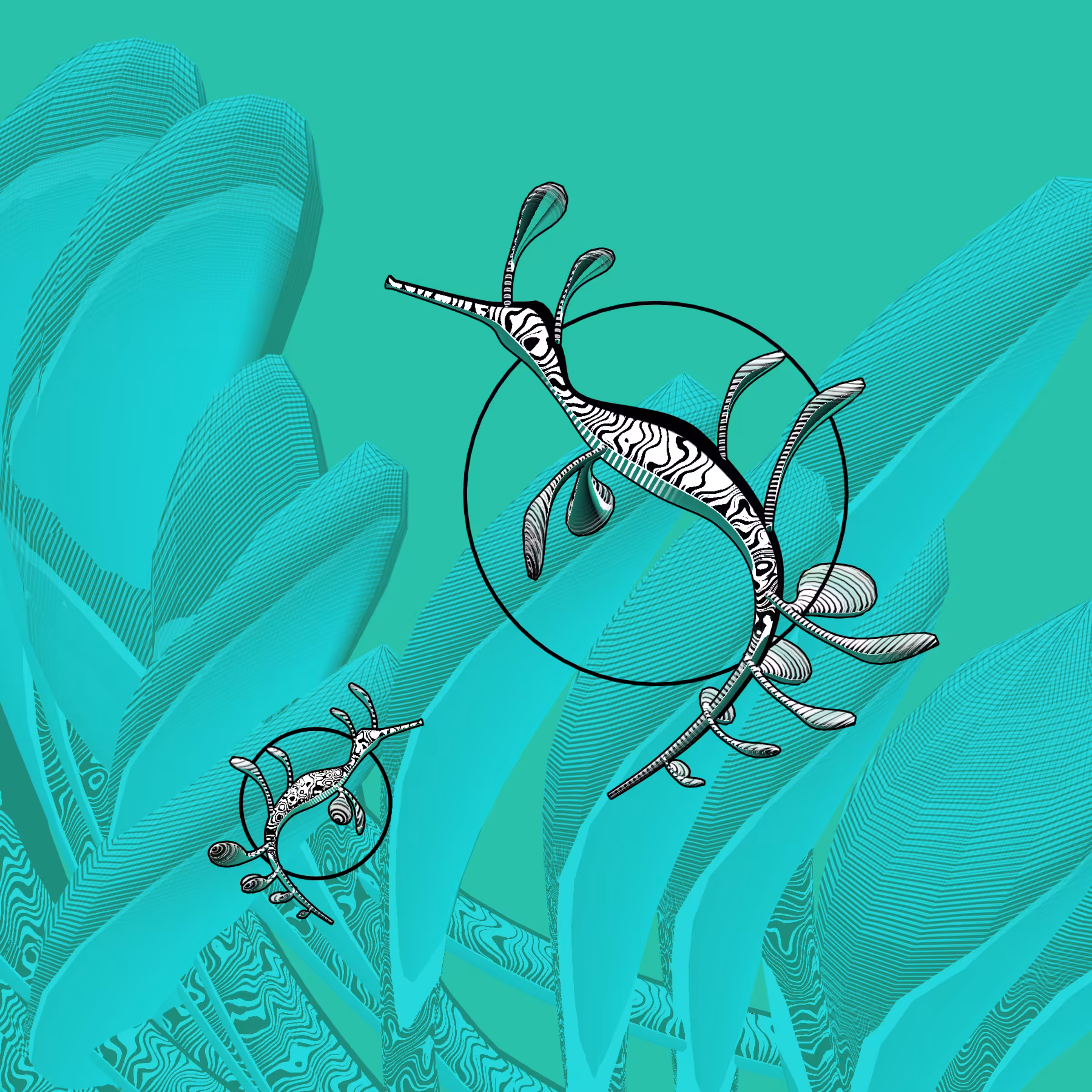 Seadragons #124