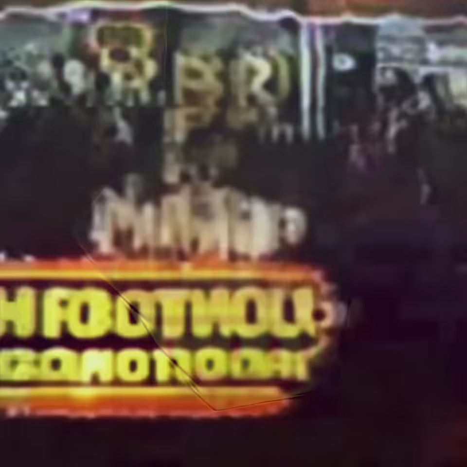 shobiz pizza 