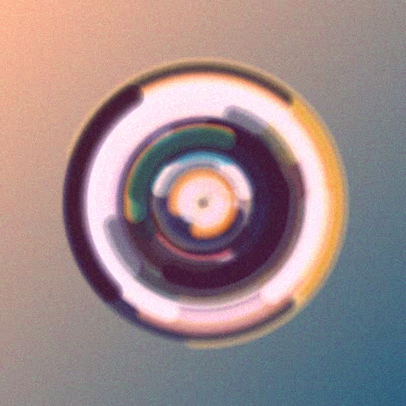Wisp #538