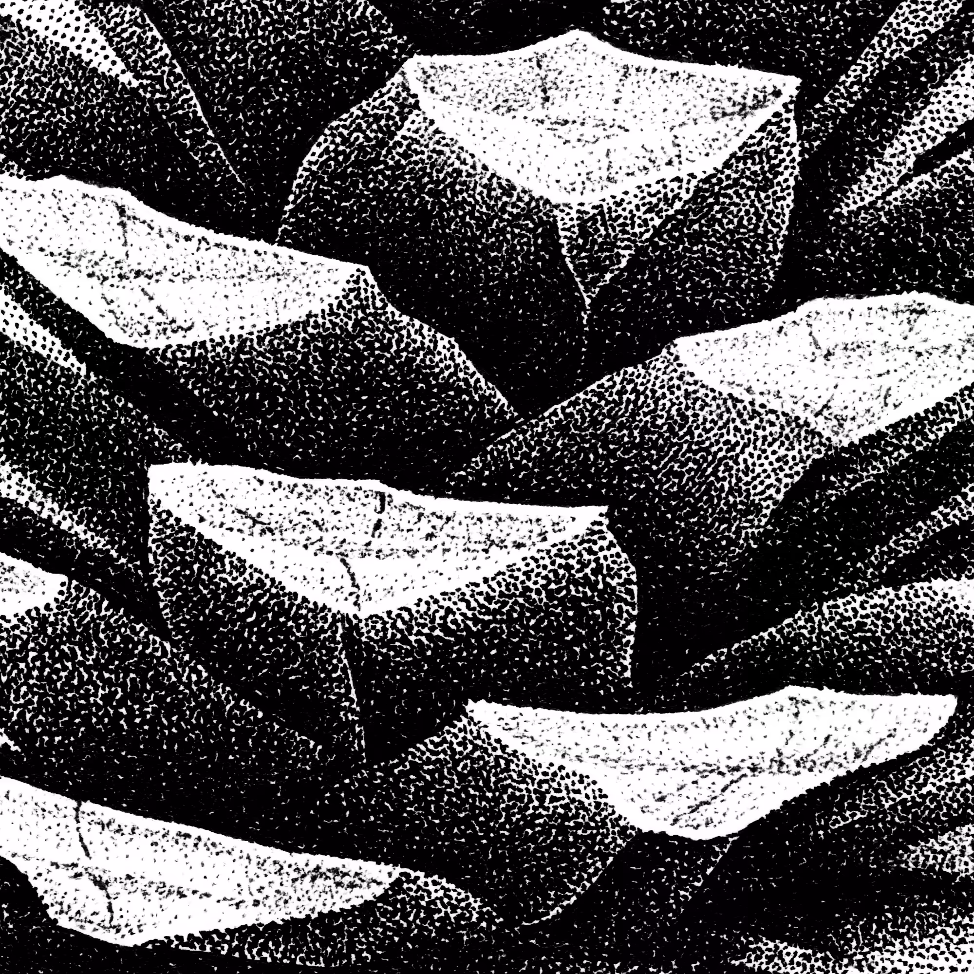 Pinecone, fig. 2