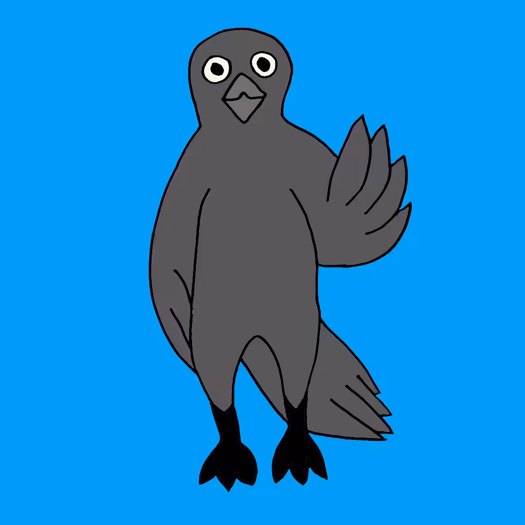 Canny Crow