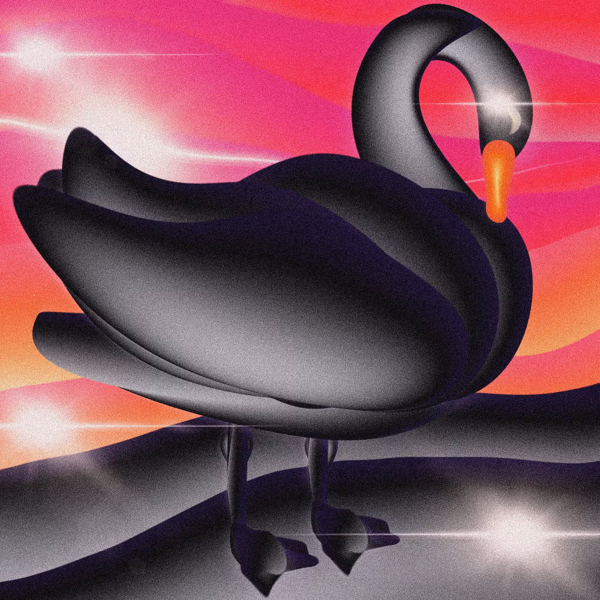 cisne negro