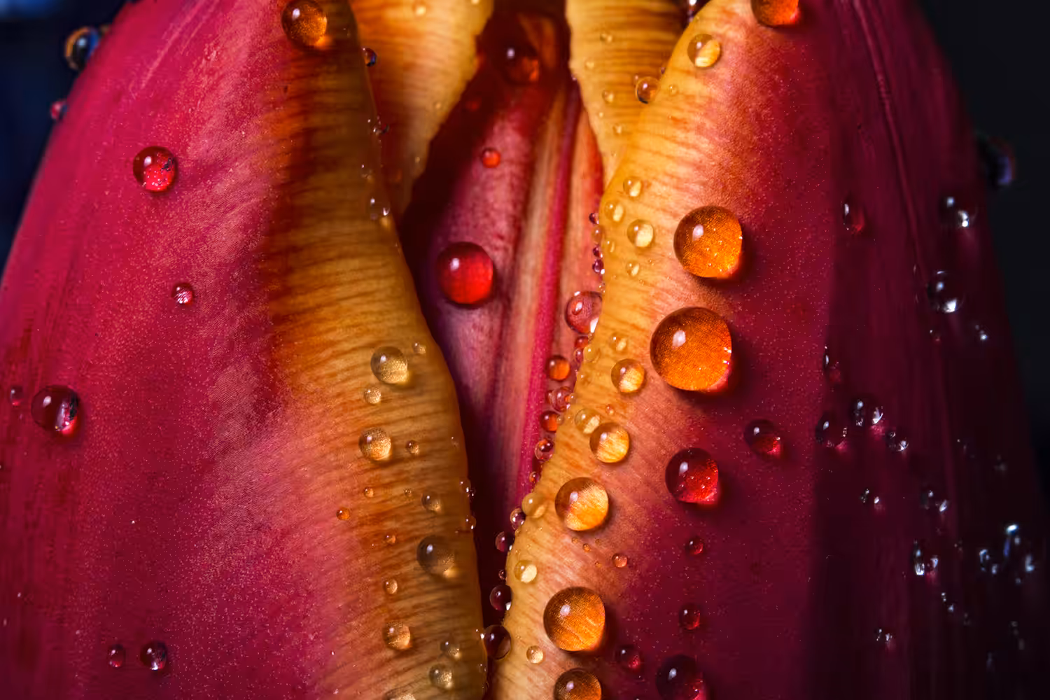 p flower
