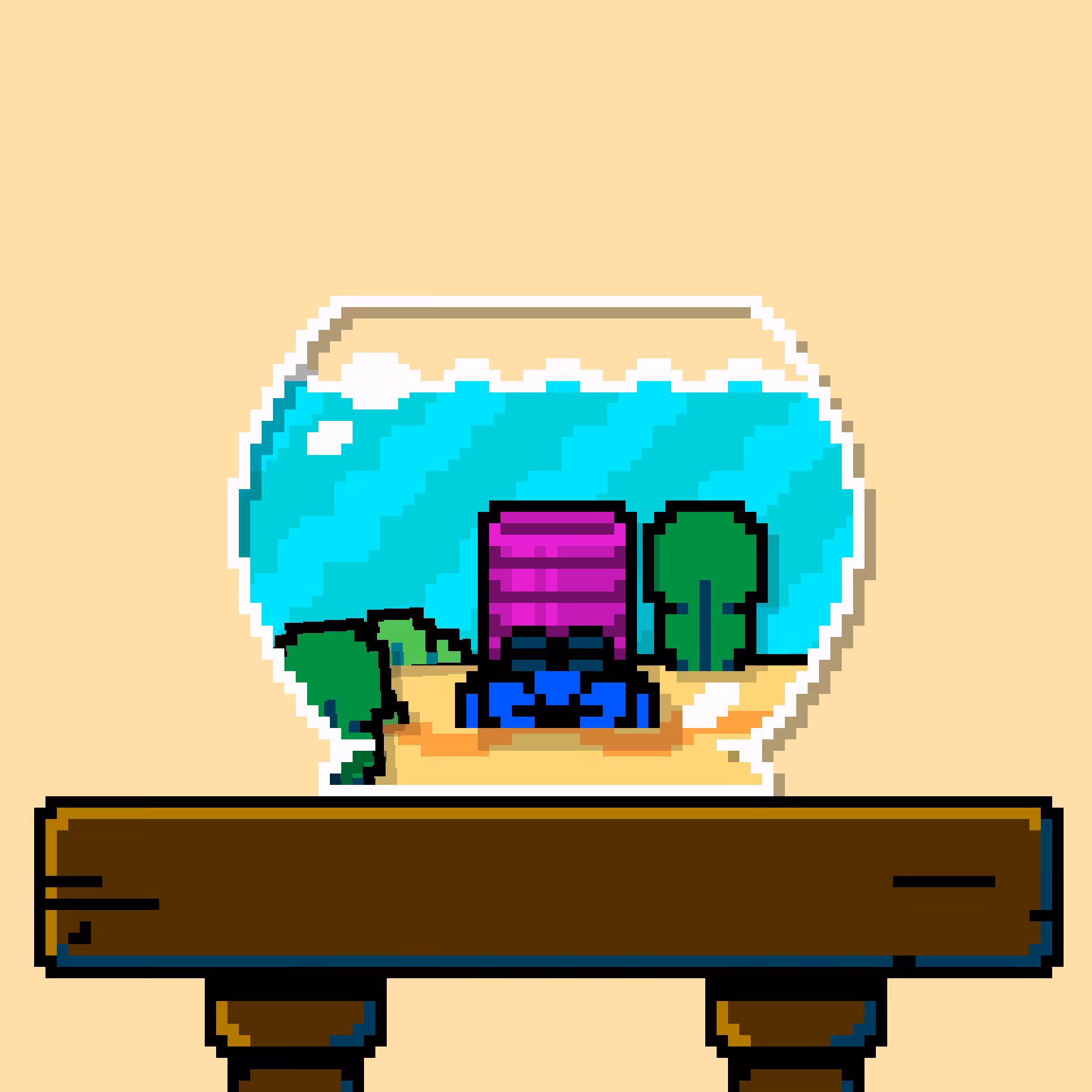 hermit crab #205