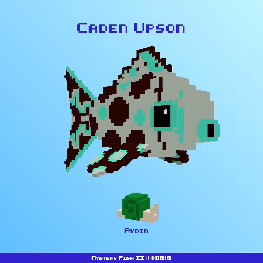 Caden Upson :: Mystery Fish 0616/1000 