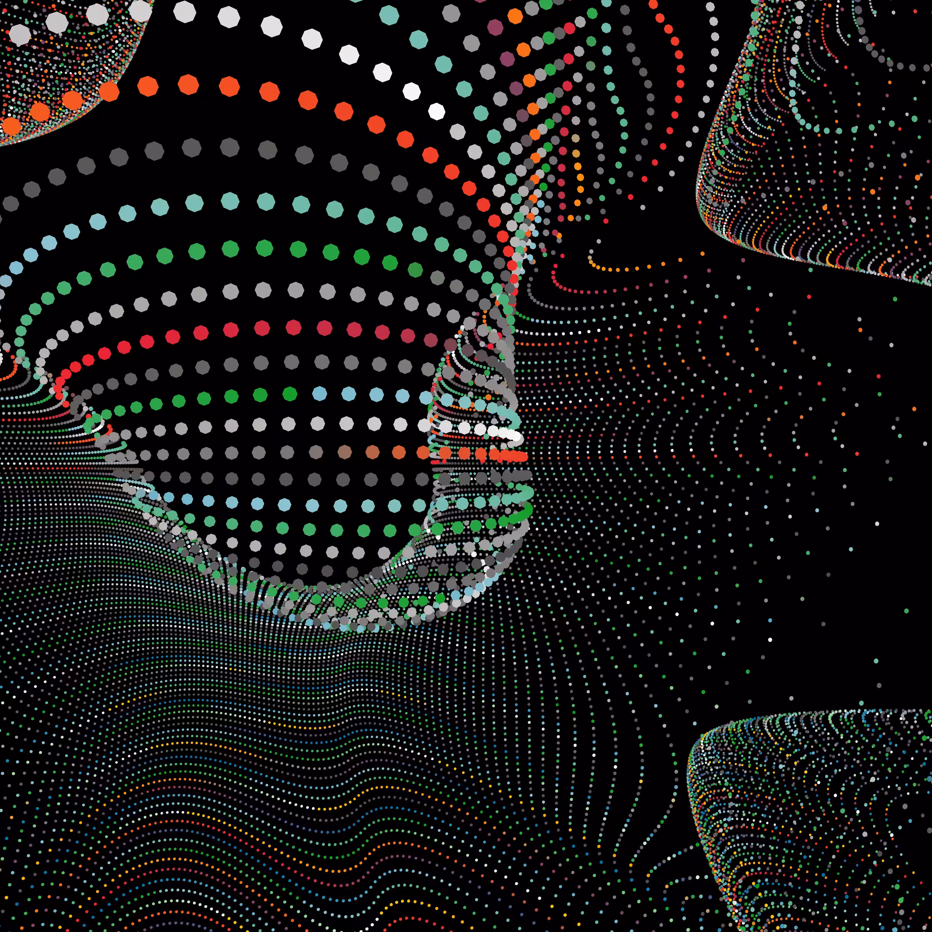 POLKAWAVE #304