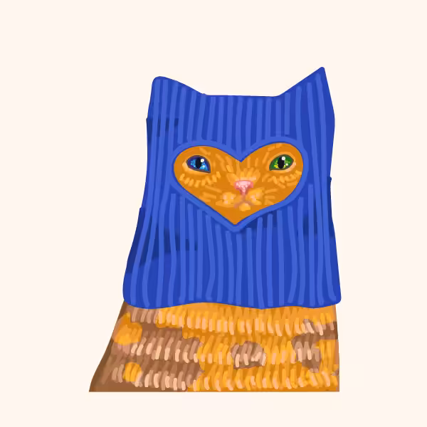 Kittens in balaclavas #39