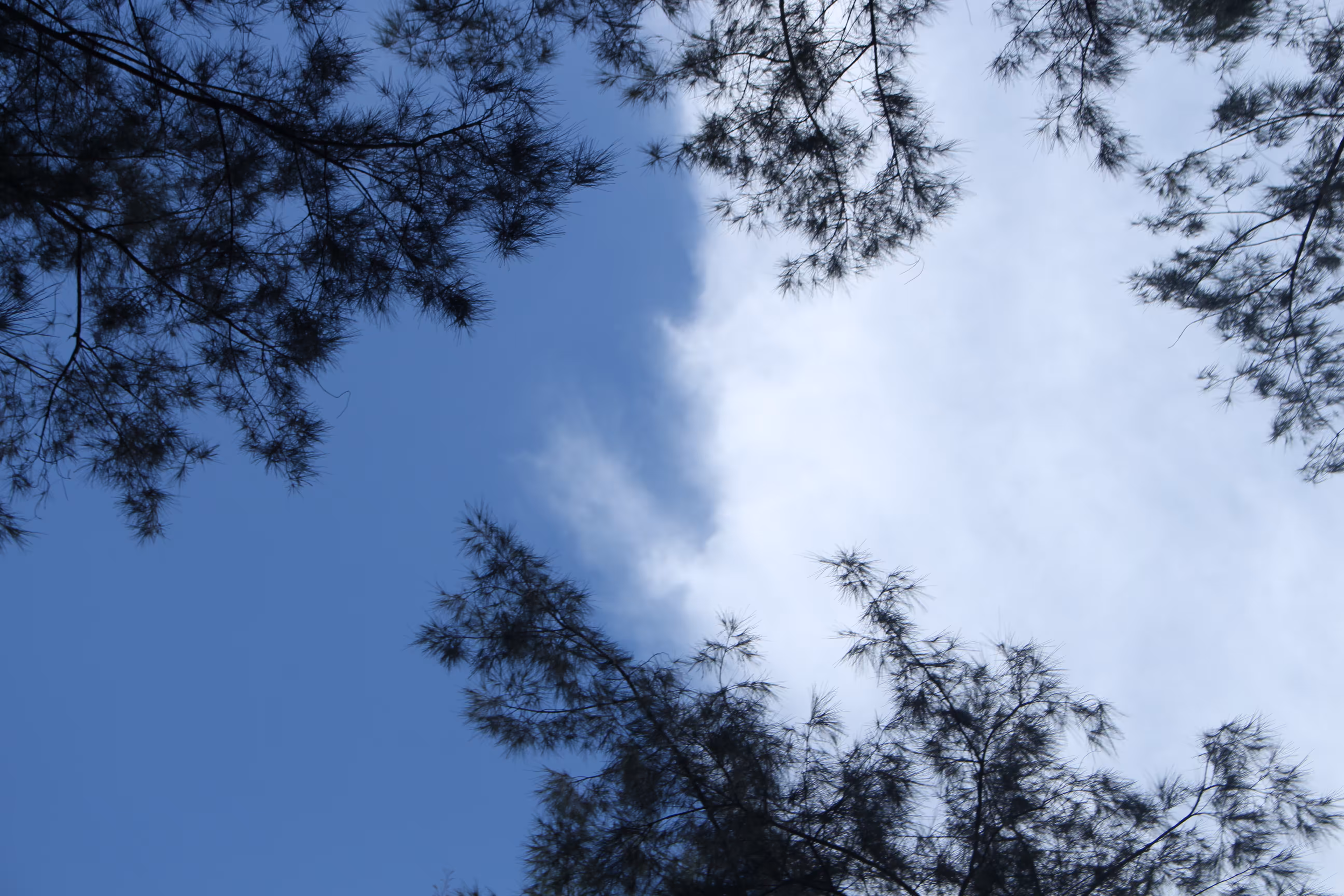 white cloud, blue sky