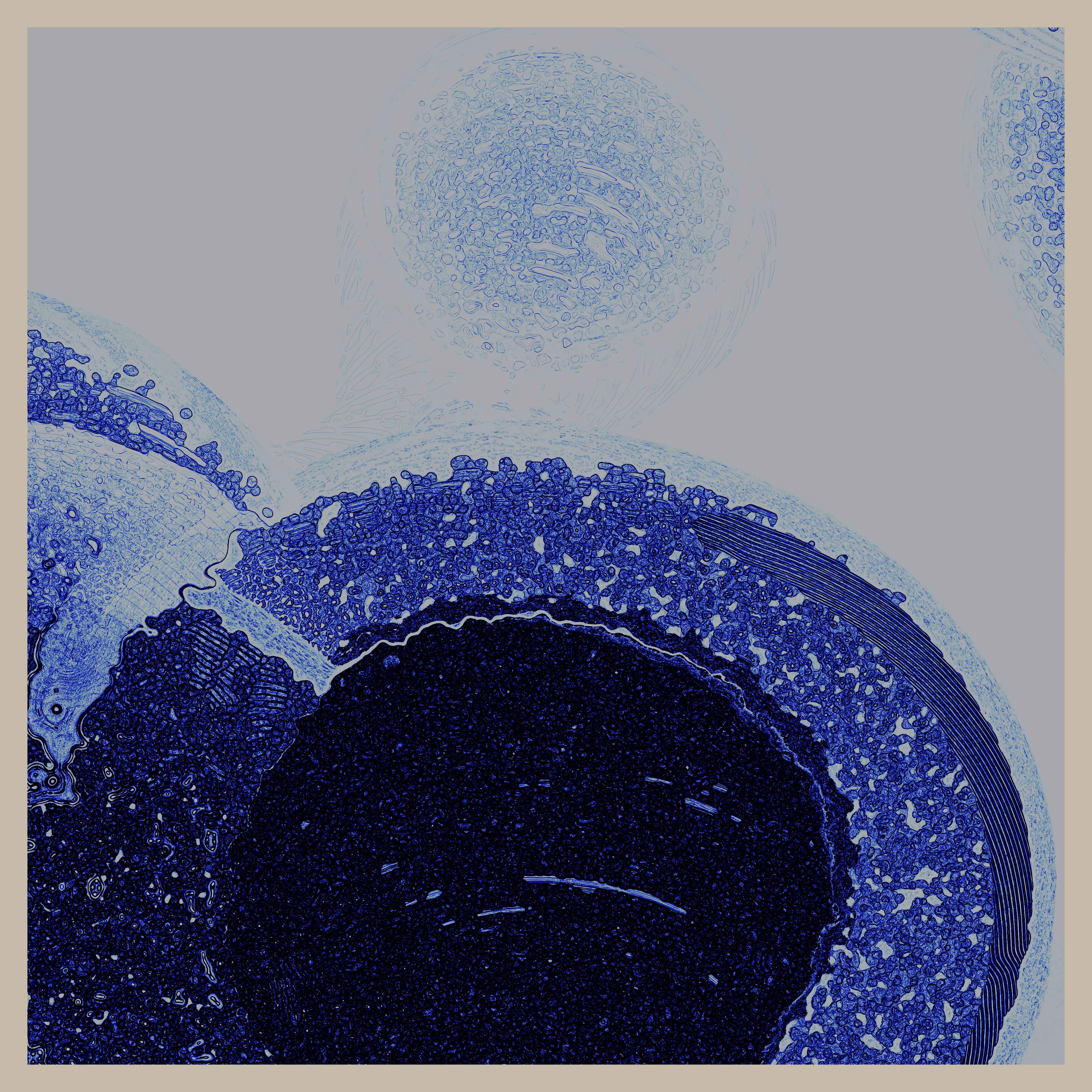 T.Blue_11