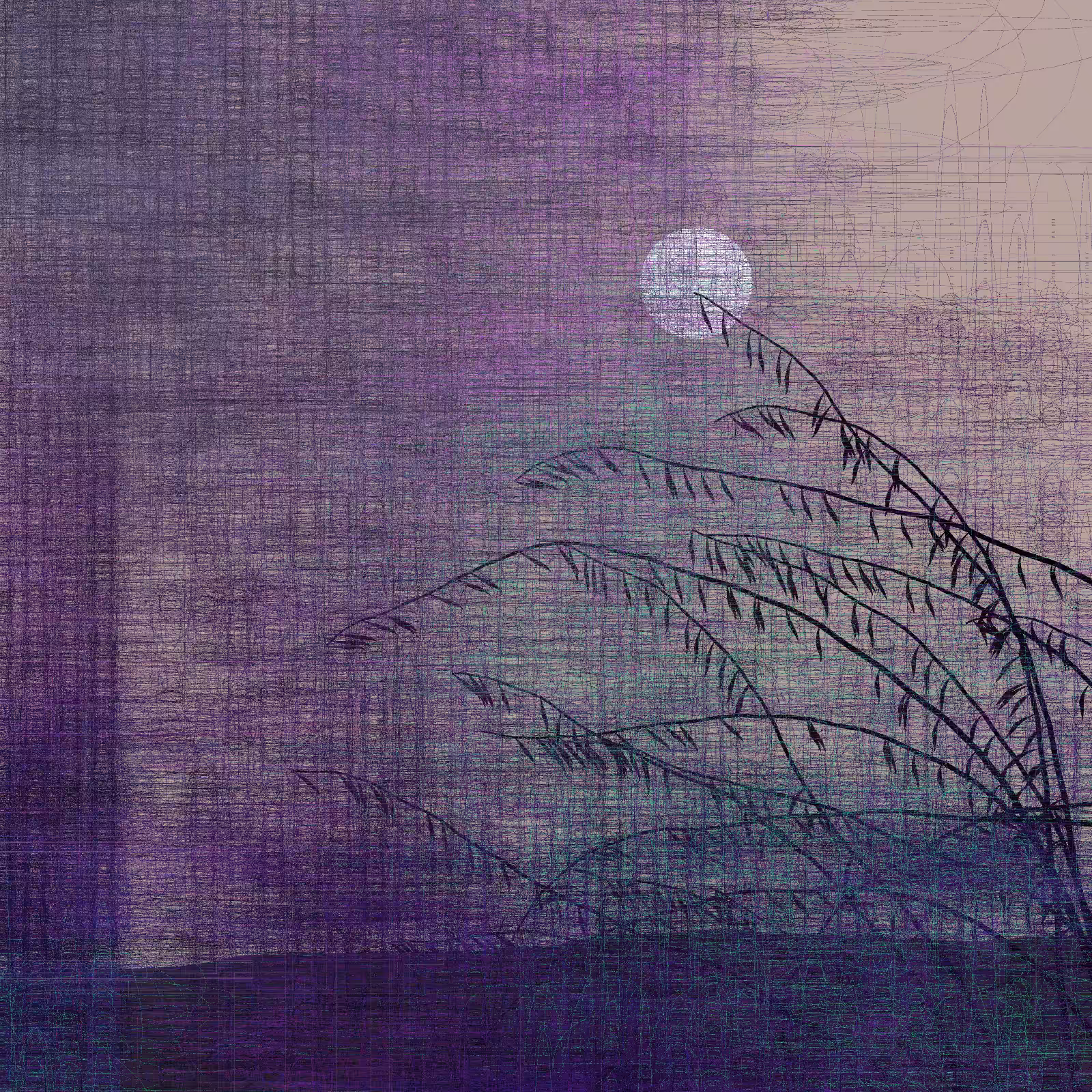 Echoes #87