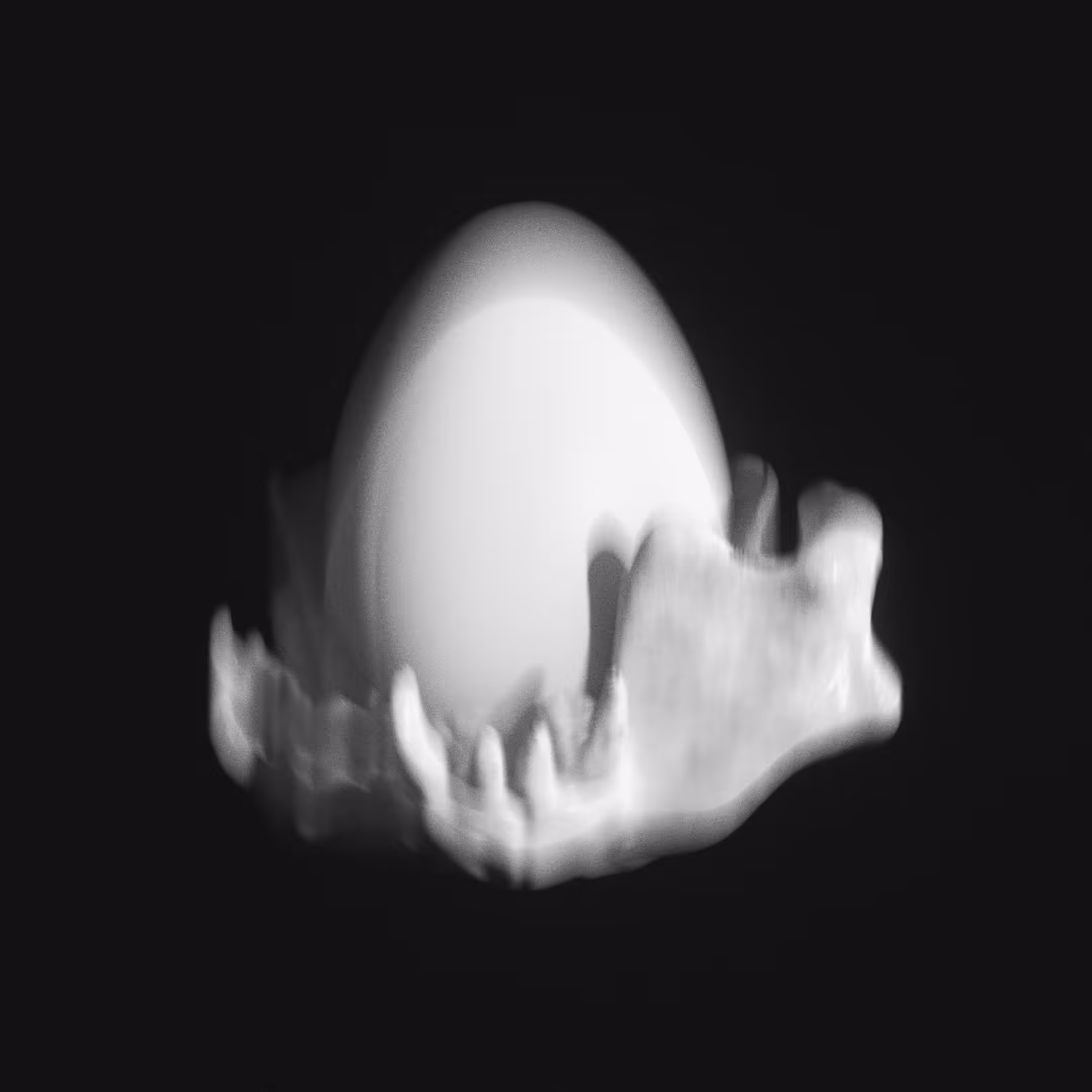 Pug Jaw With Egg