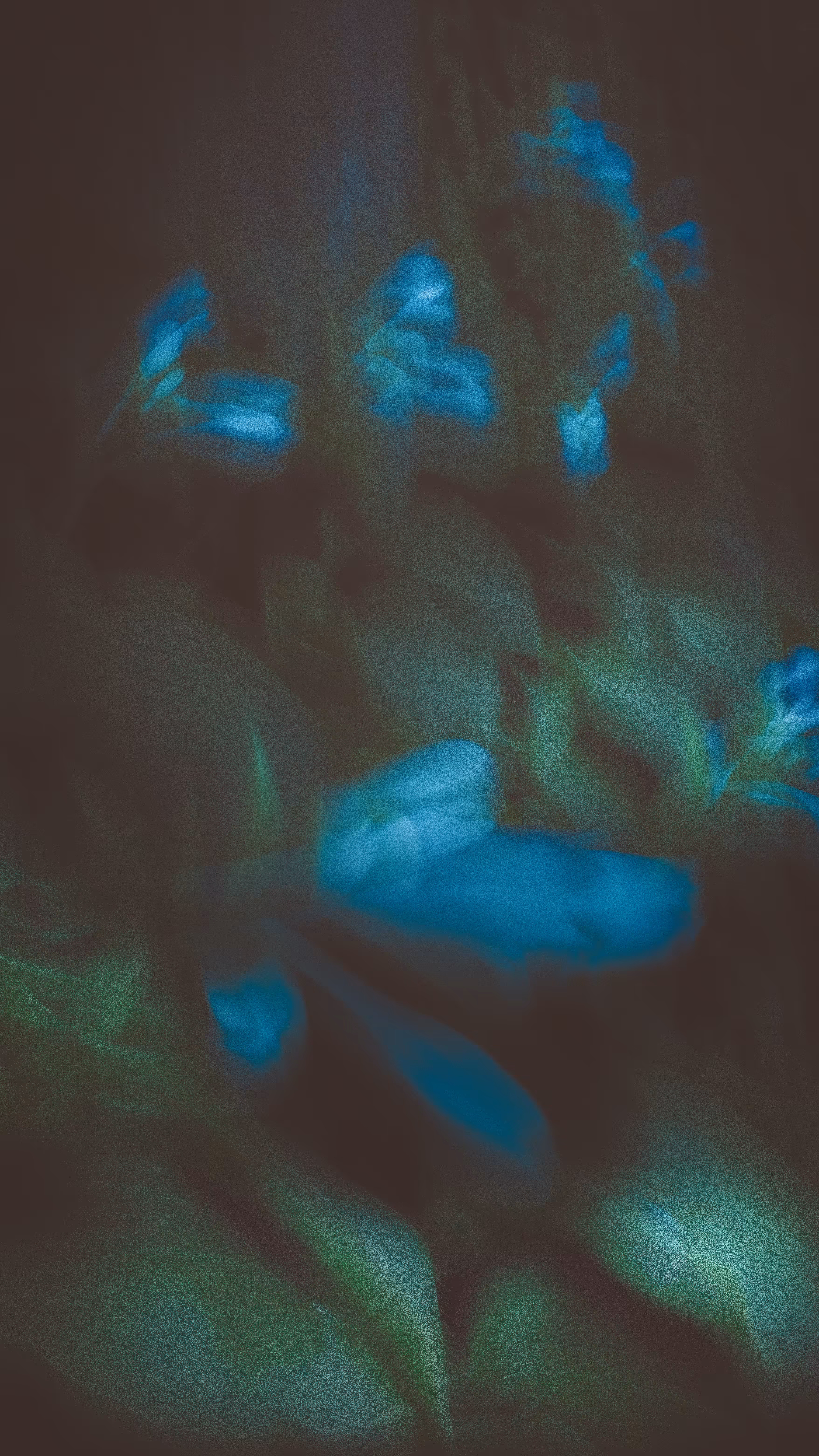 waking dream_3
