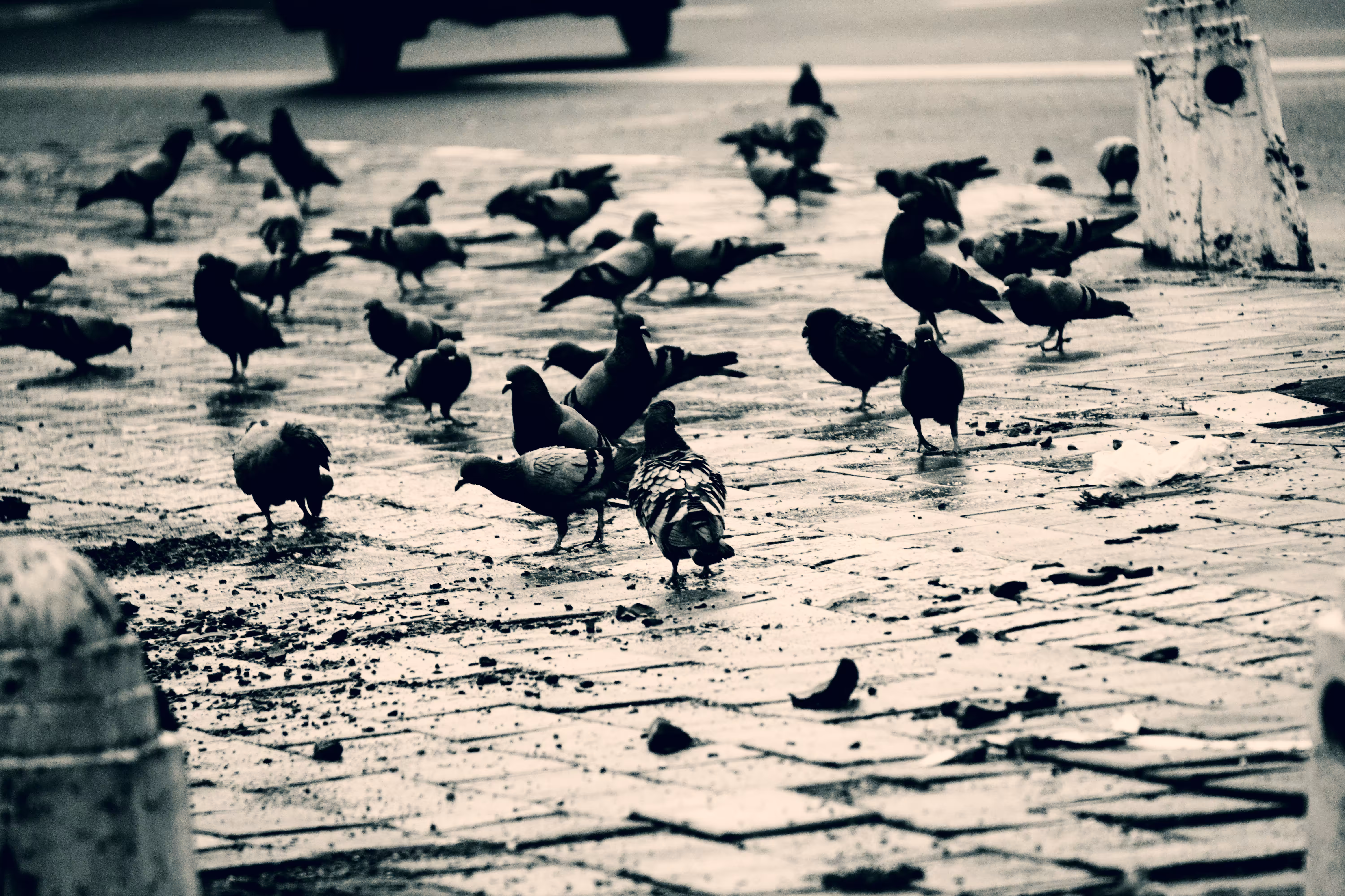 Ordinary #6