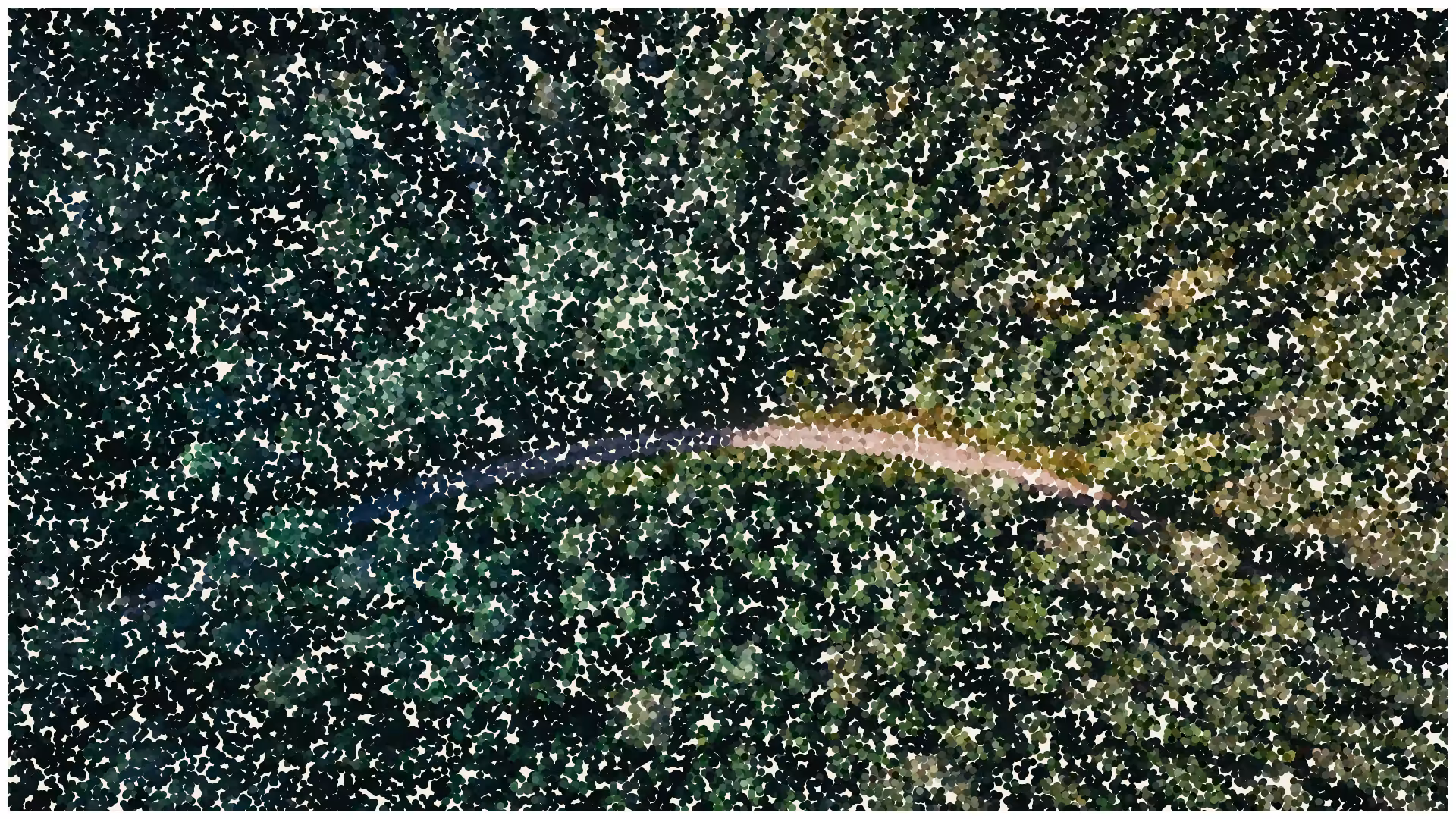 Pointillism #78