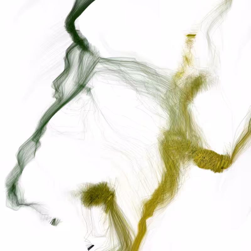Hypericum #79