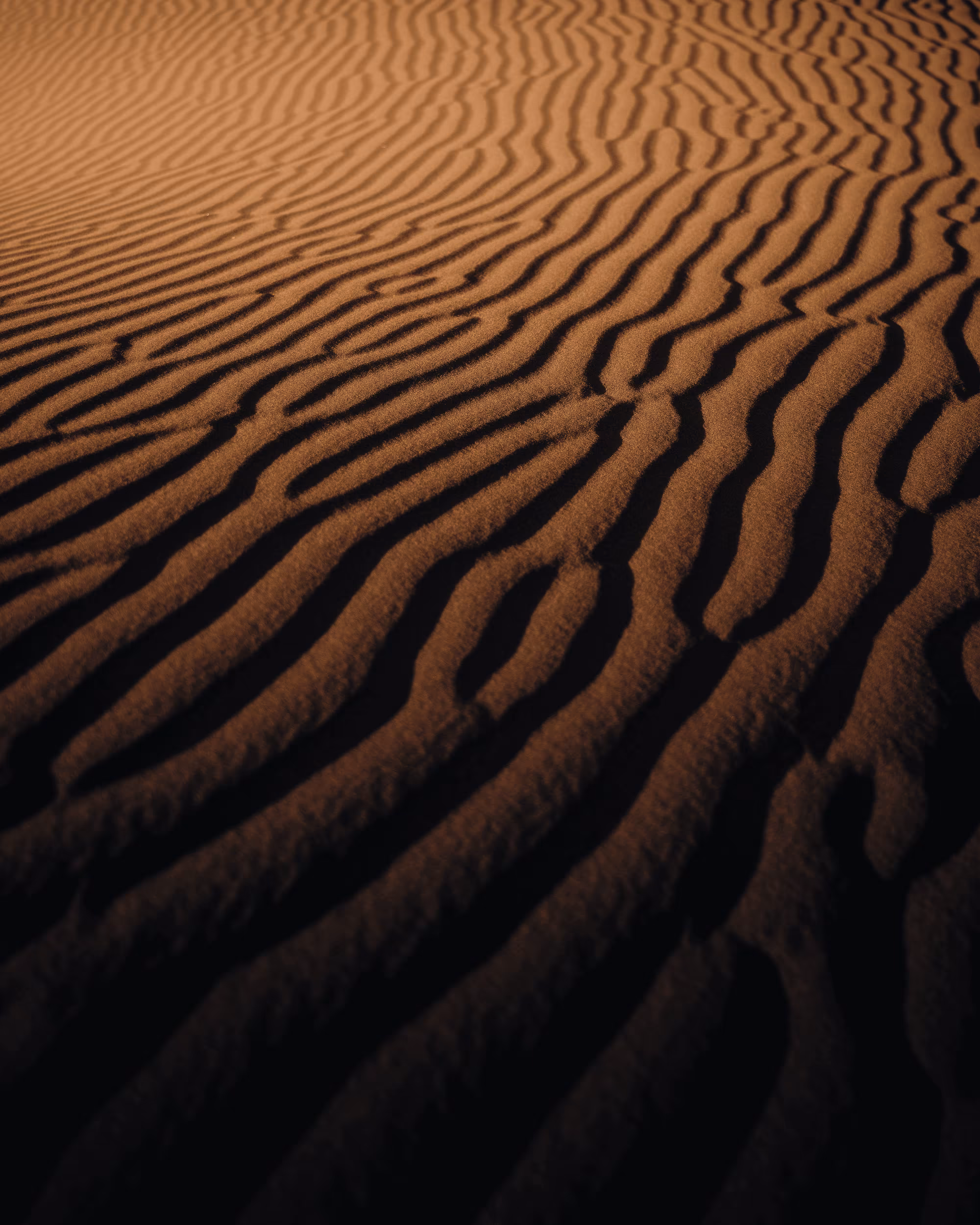 Dune: The Collection #13