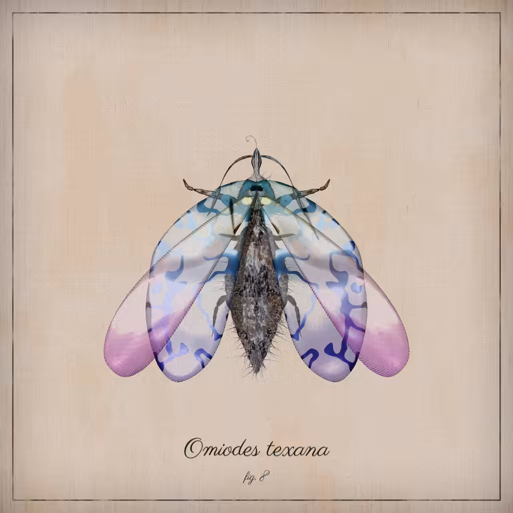 ProcGen Entomology #470