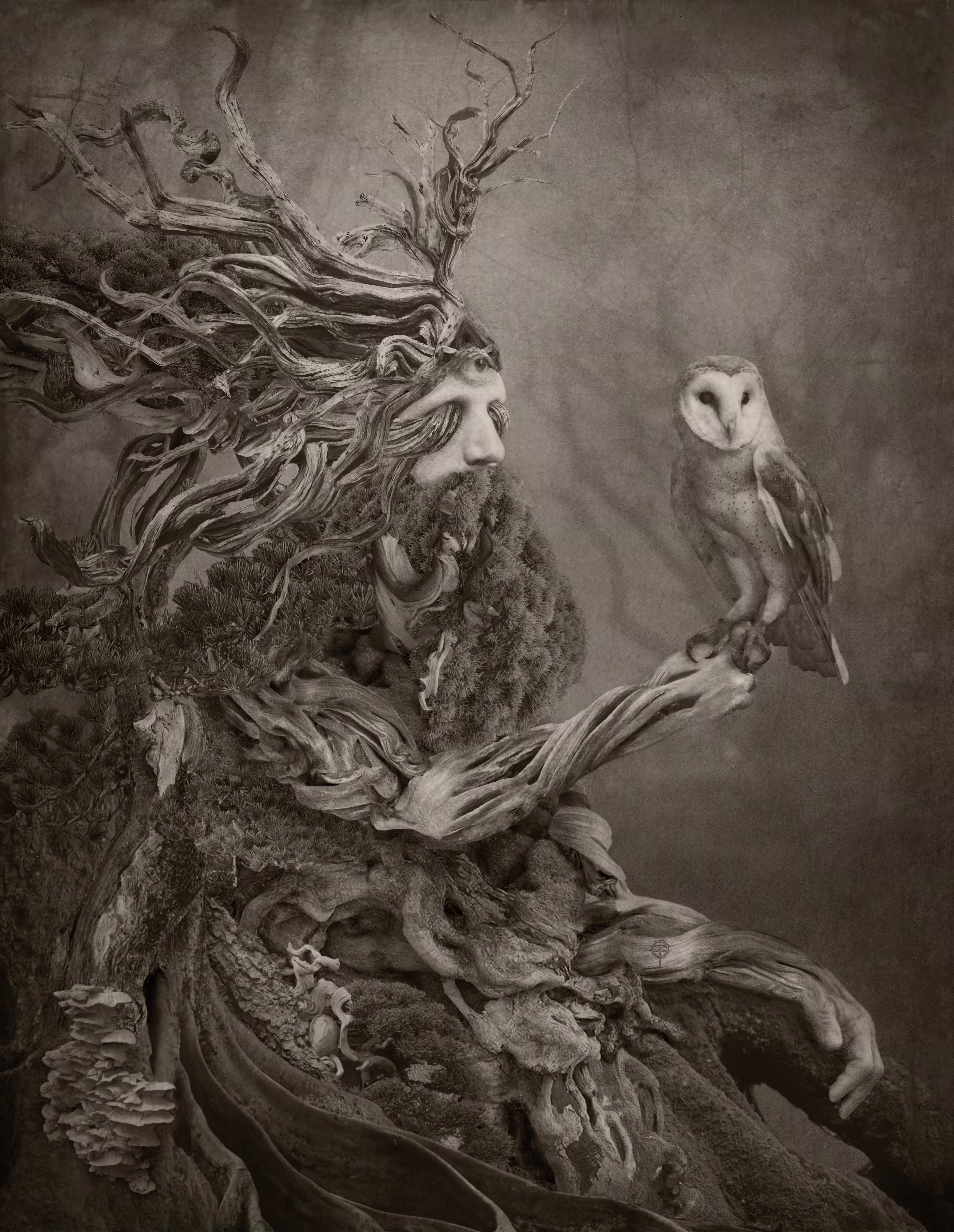 TREEBEARD