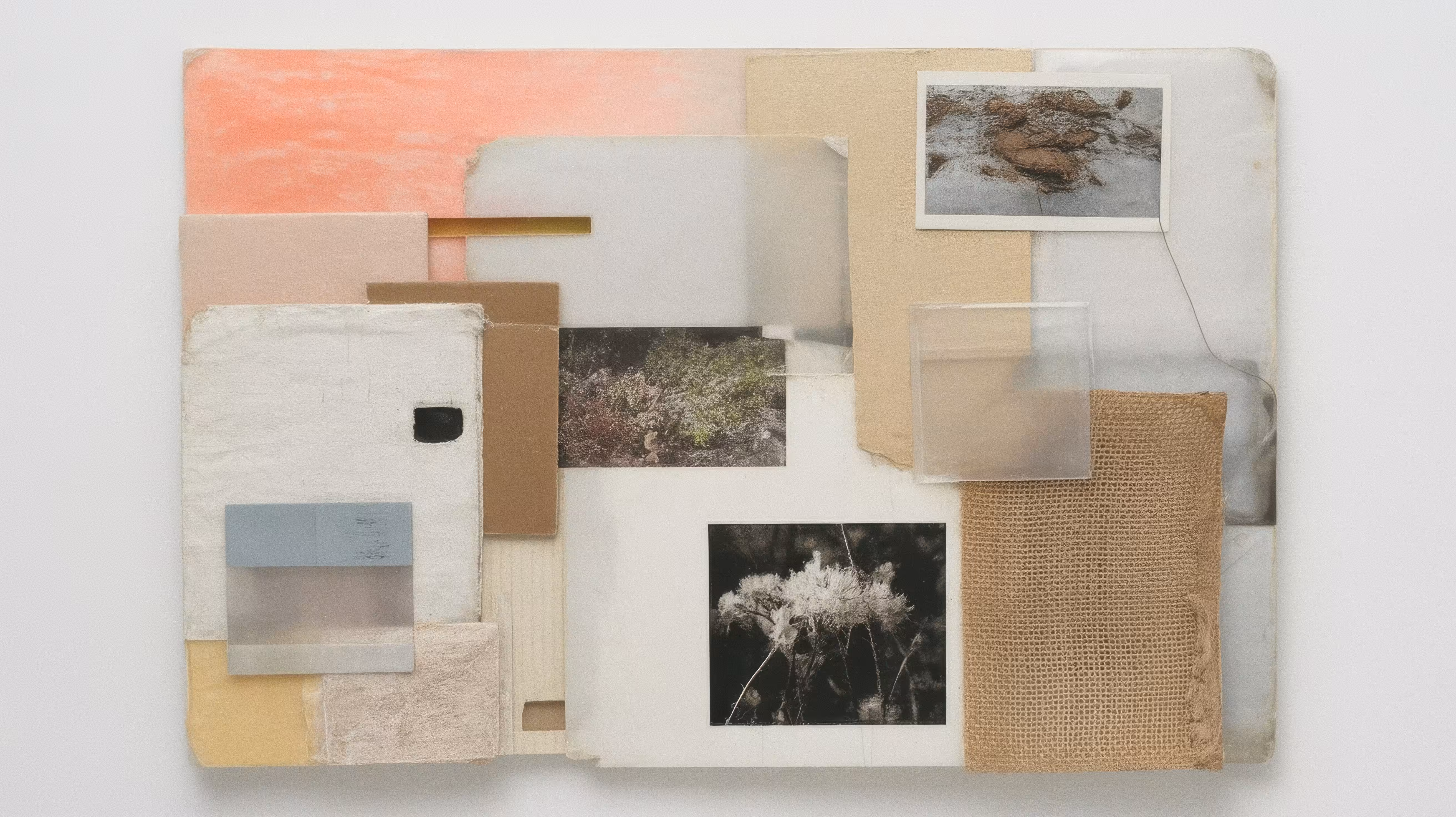 untitled (one with all), 2025