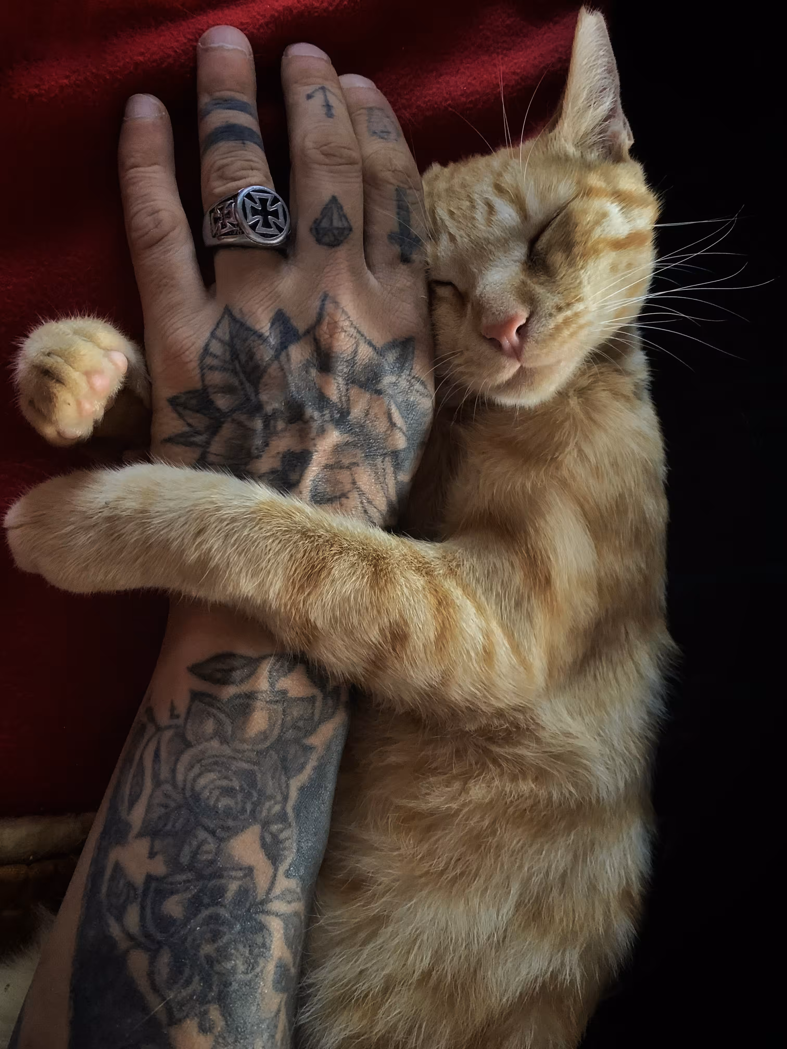 Don't Ever Leave Me